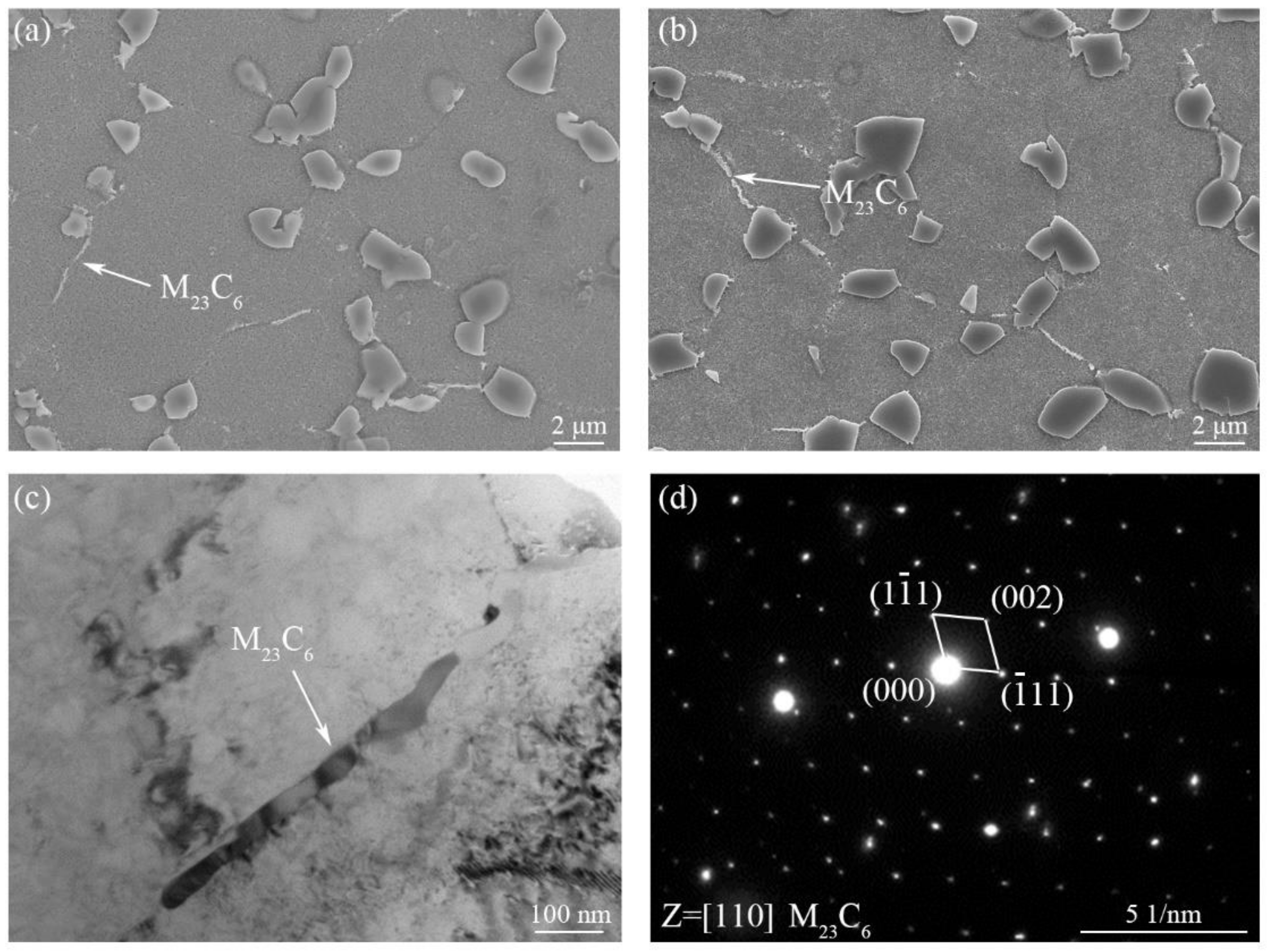 Materials 16 03639 g008