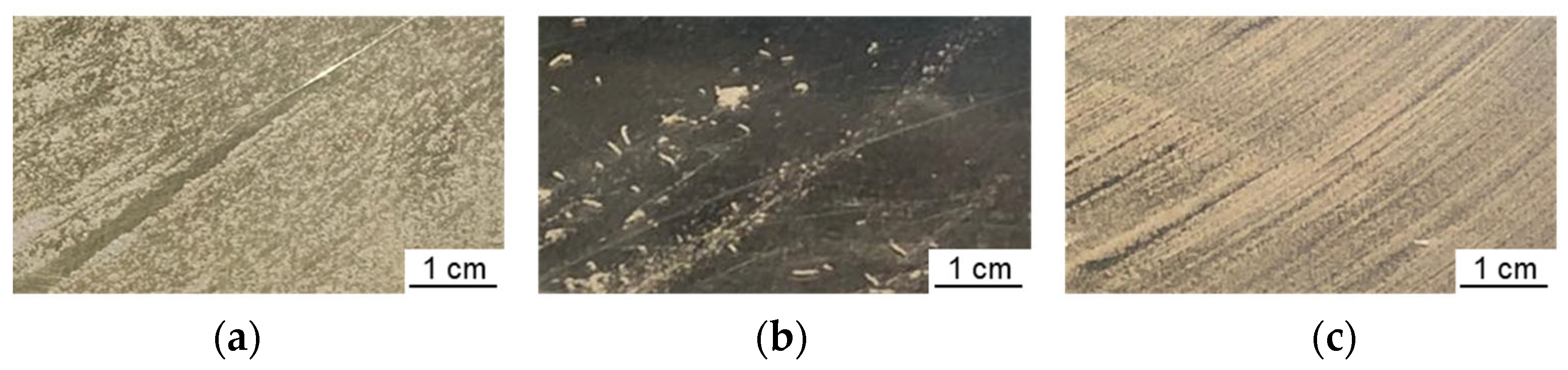 Materials 16 03649 g004