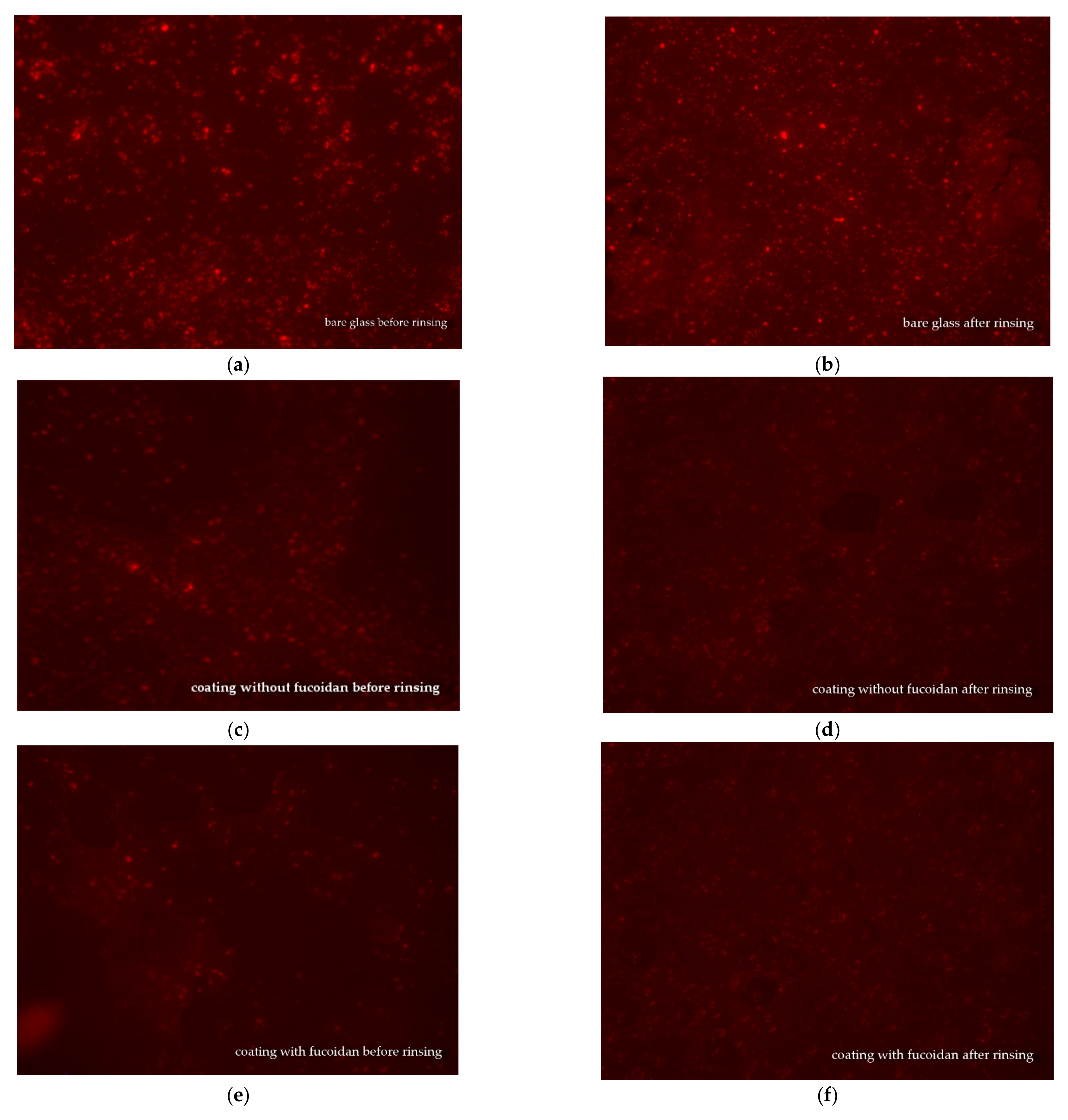 Materials 16 03651 g004 Materials 16 03651 g004