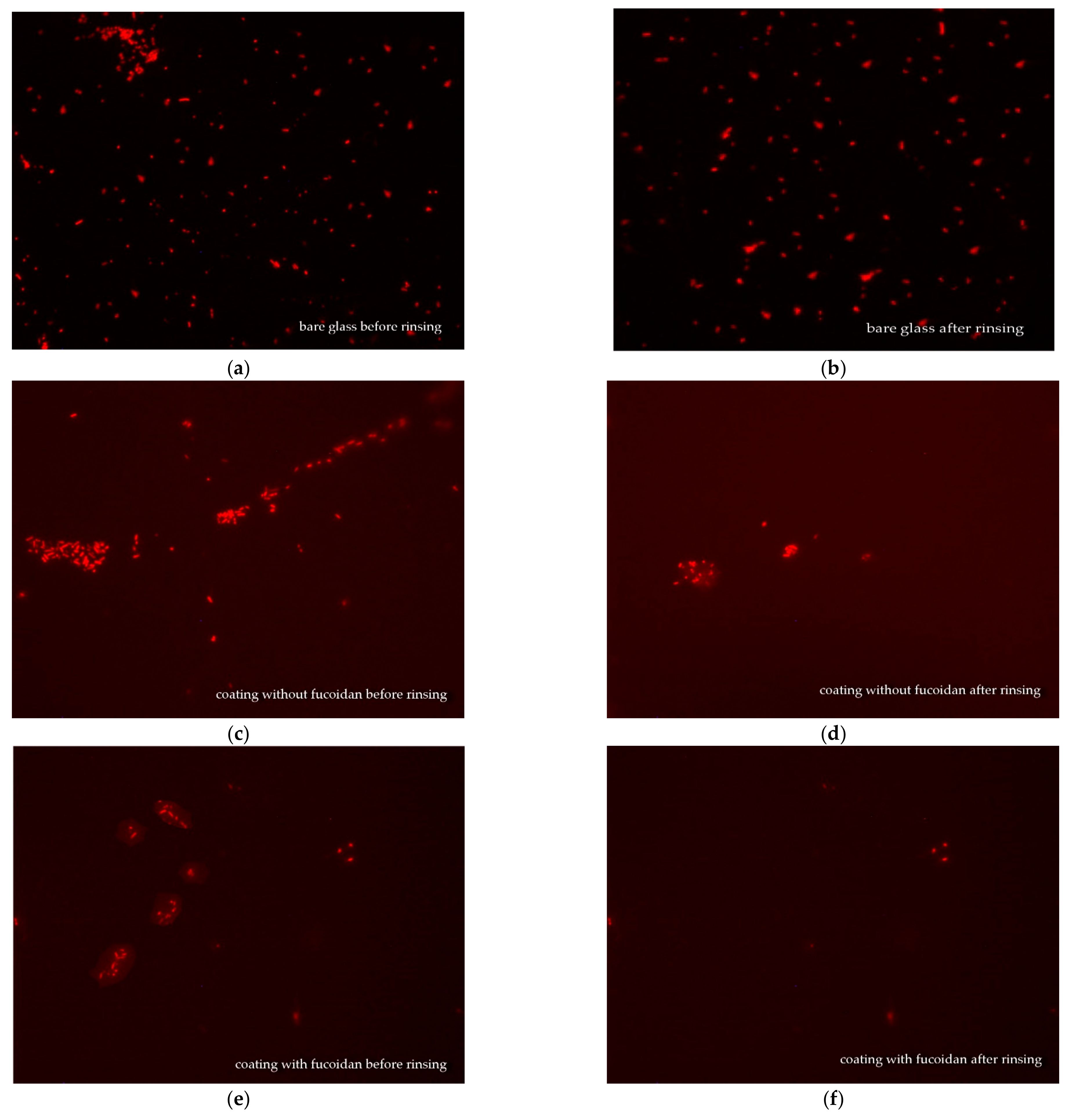 Materials 16 03651 g005 Materials 16 03651 g005
