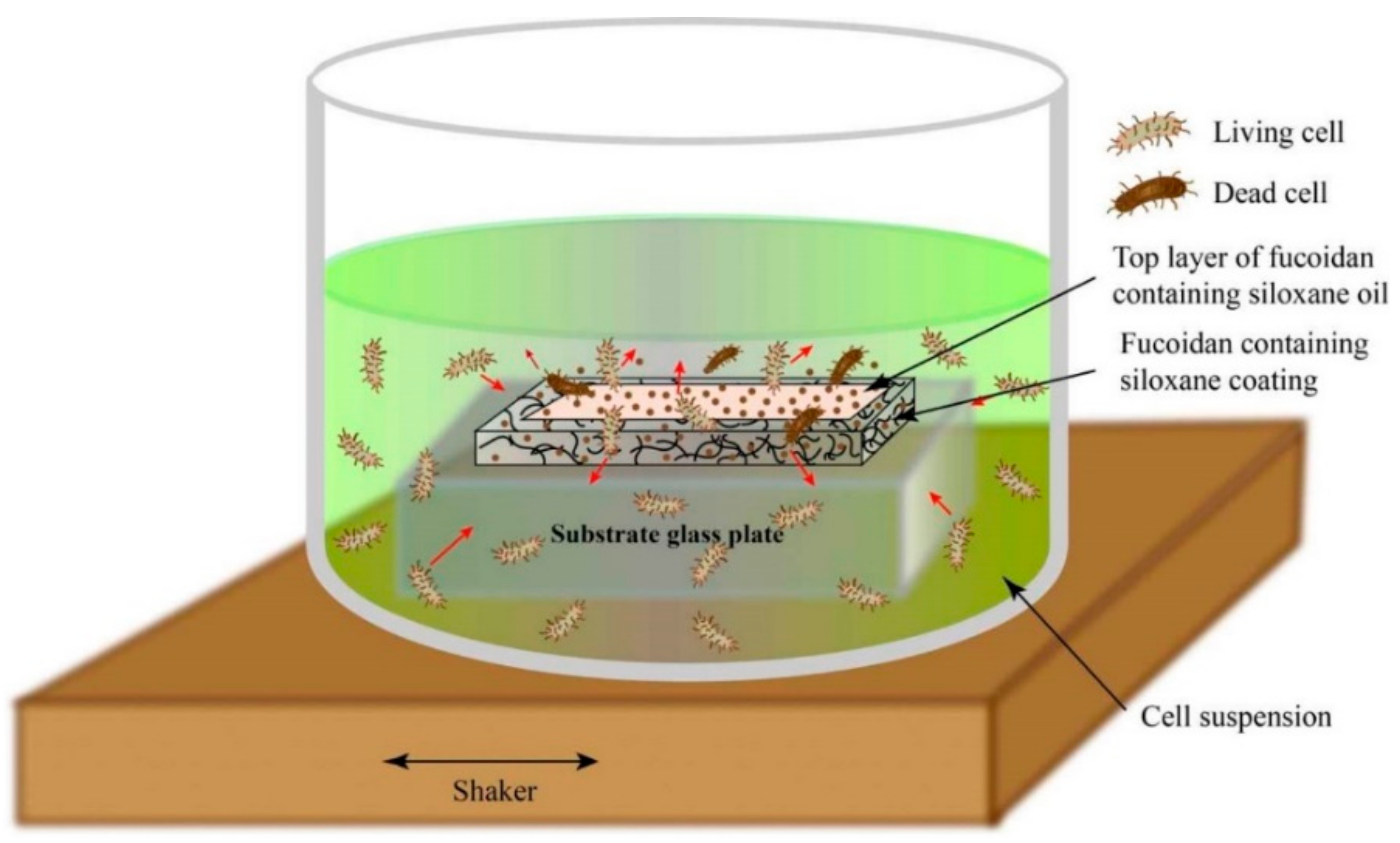 Materials 16 03651 g006 Materials 16 03651 g006