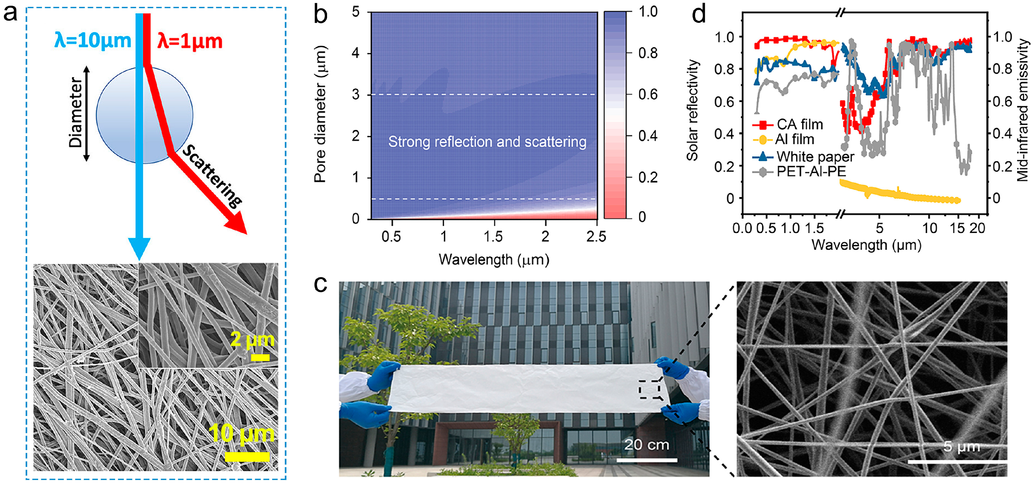 Materials 16 03677 g004
