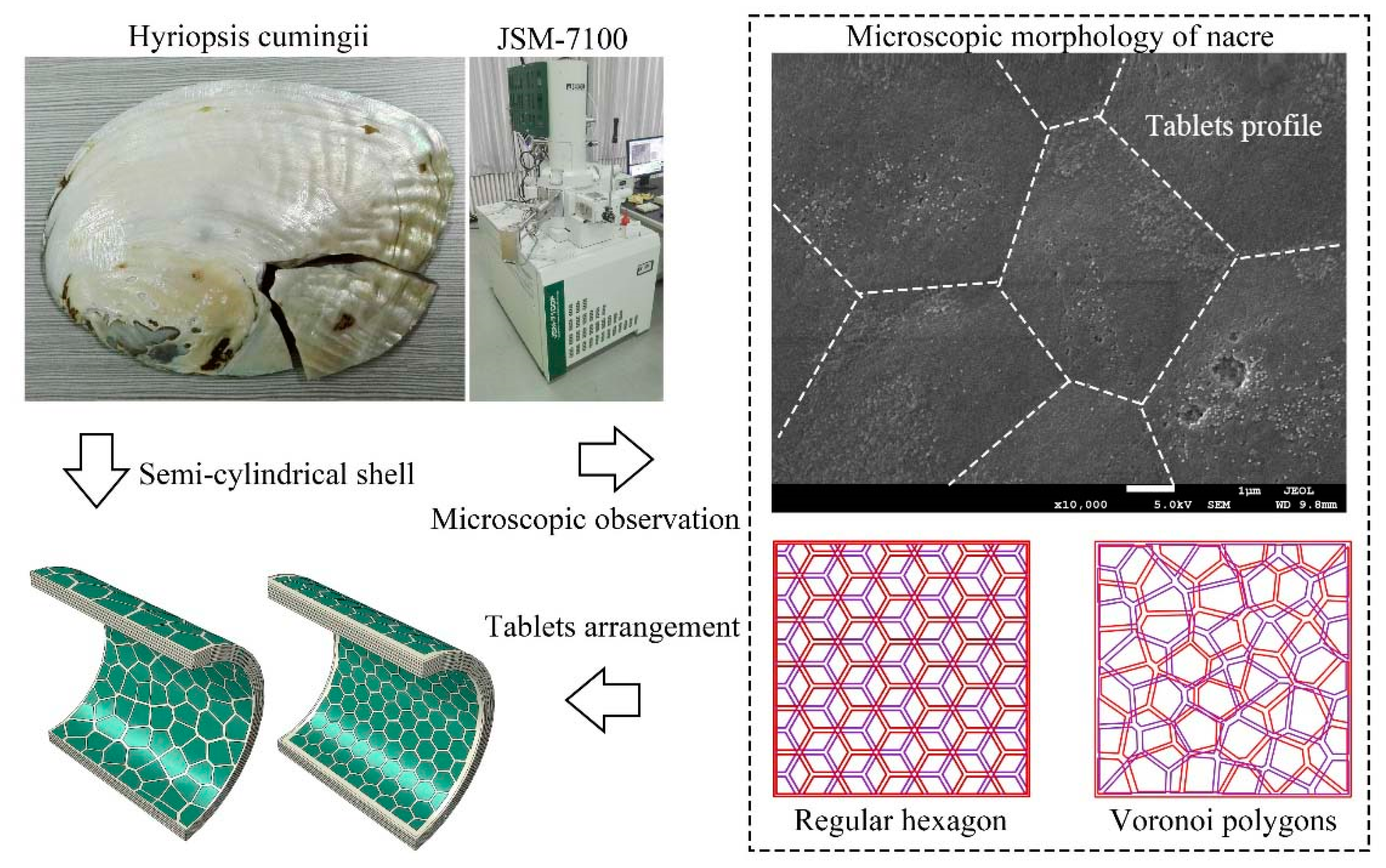 Materials 16 03699 g001