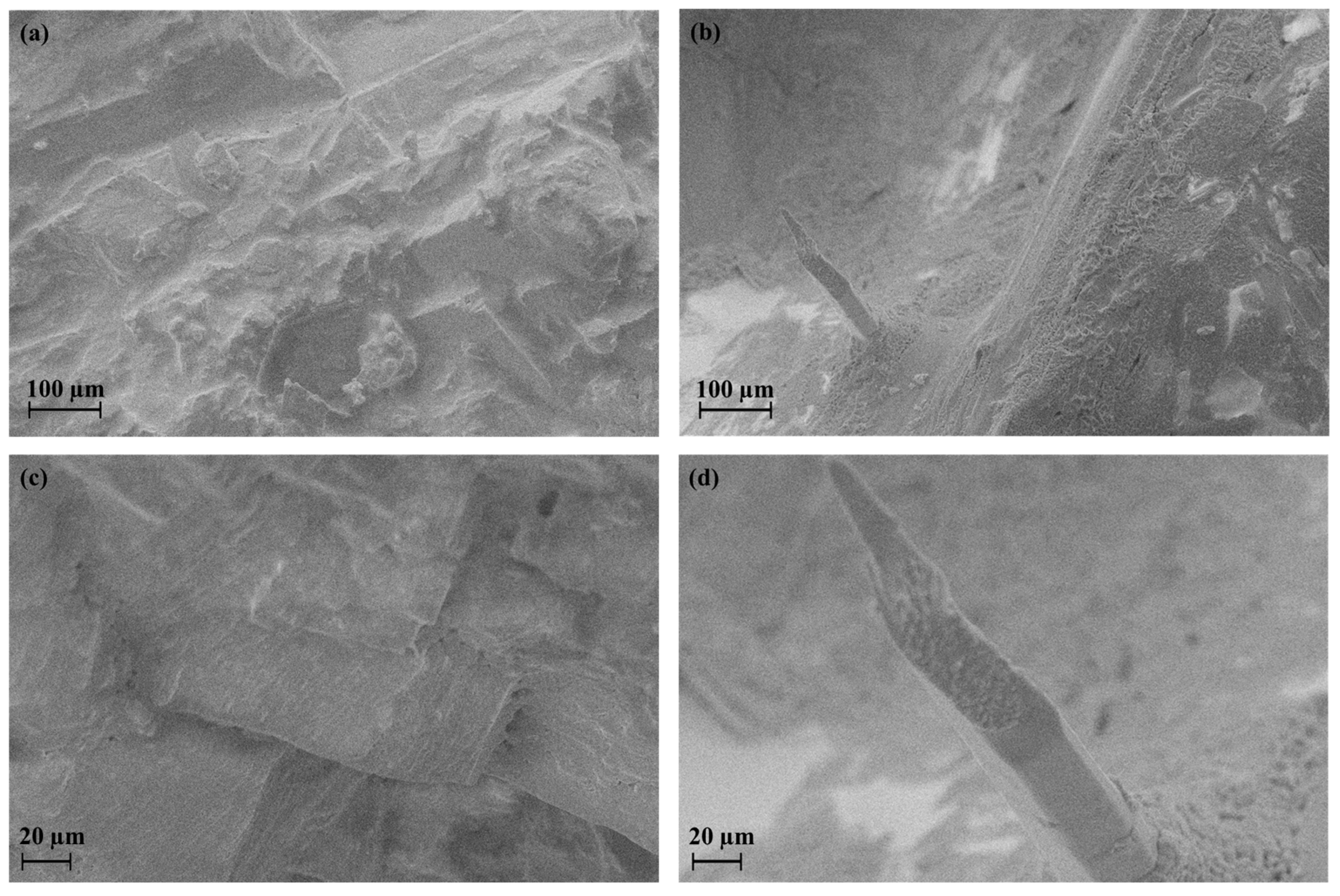 Materials 16 03744 g003