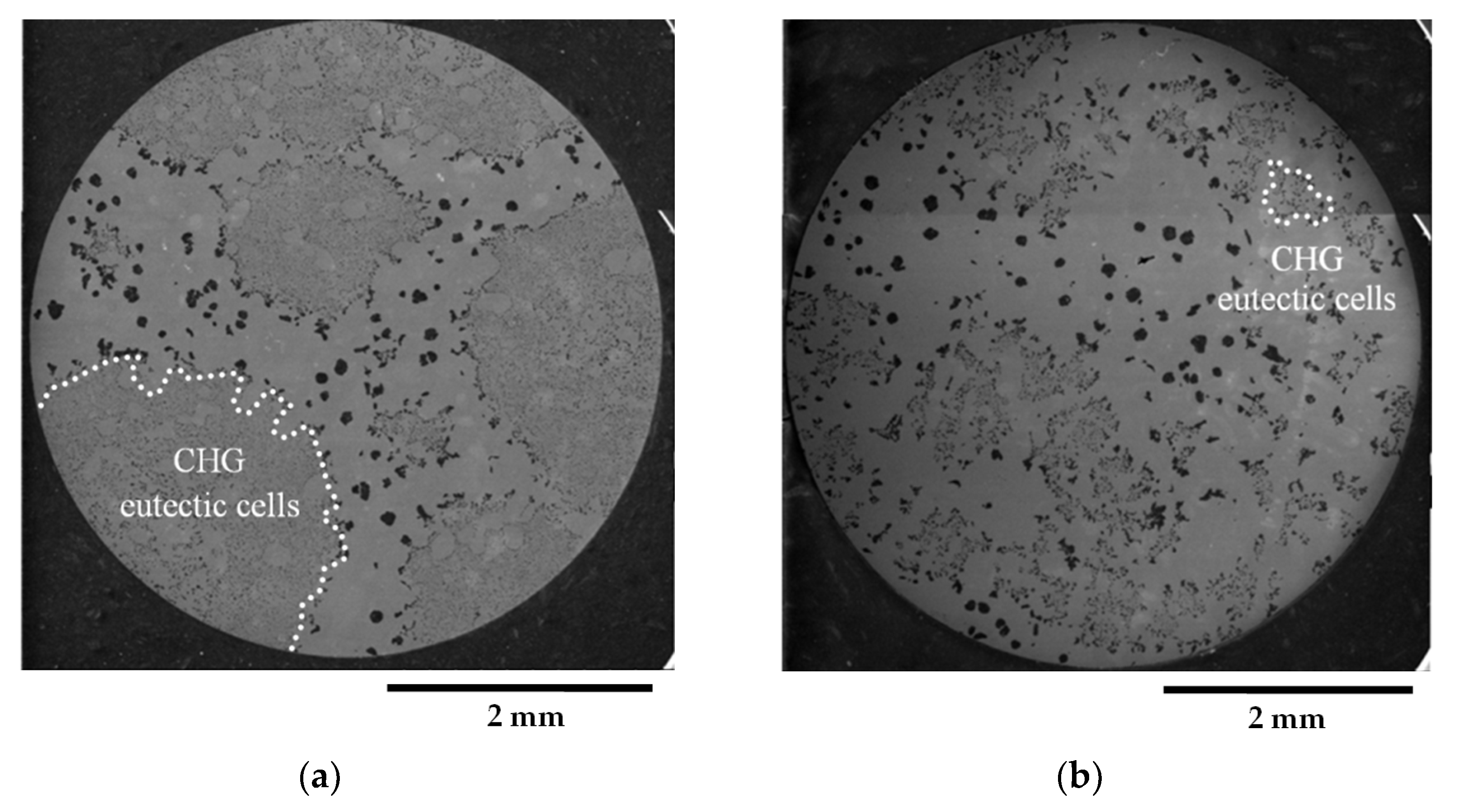 Materials 16 03748 g002