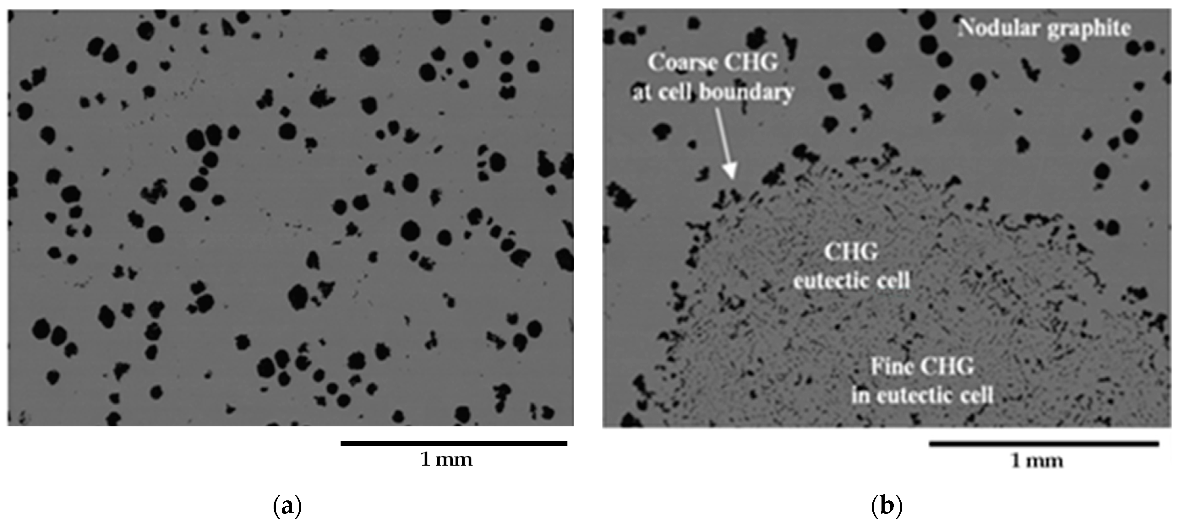 Materials 16 03748 g005