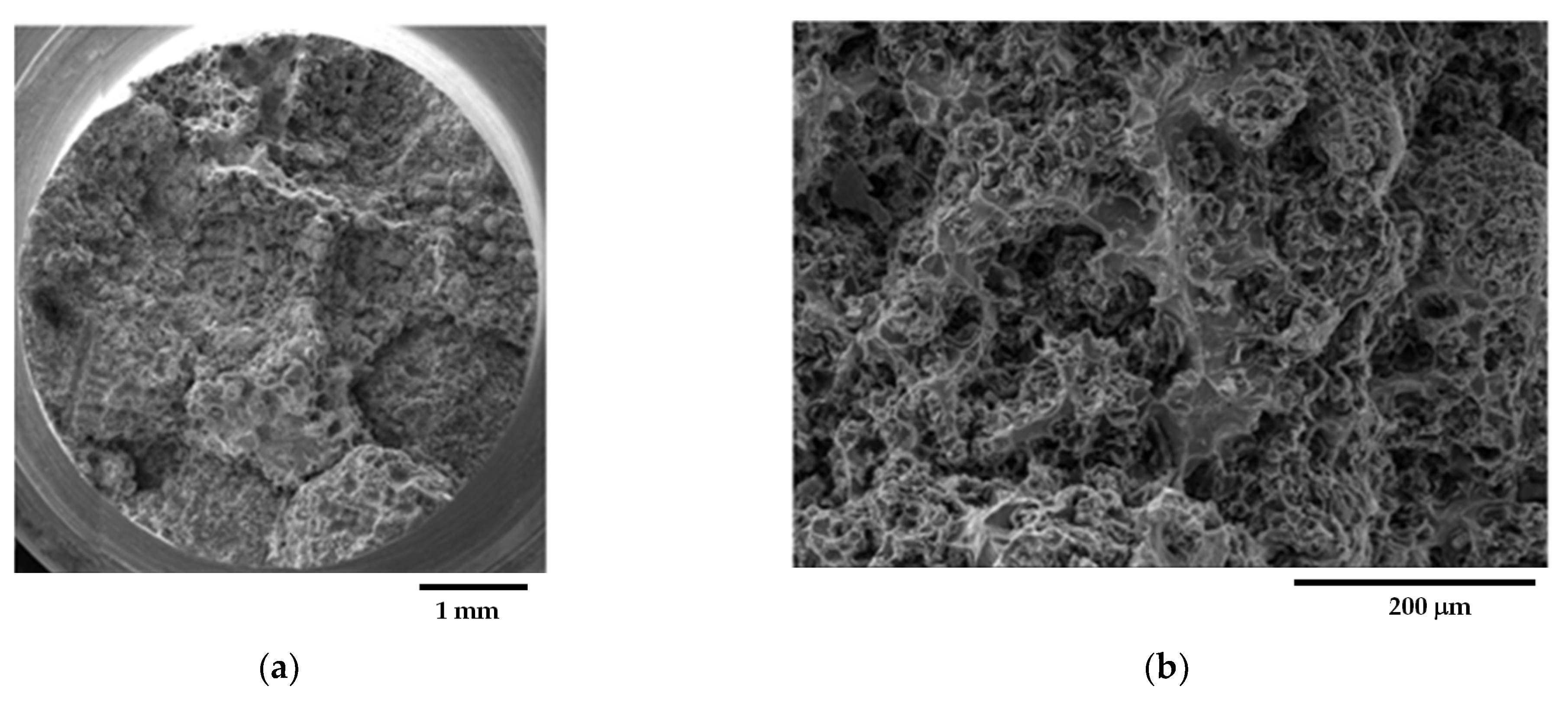 Materials 16 03748 g010a