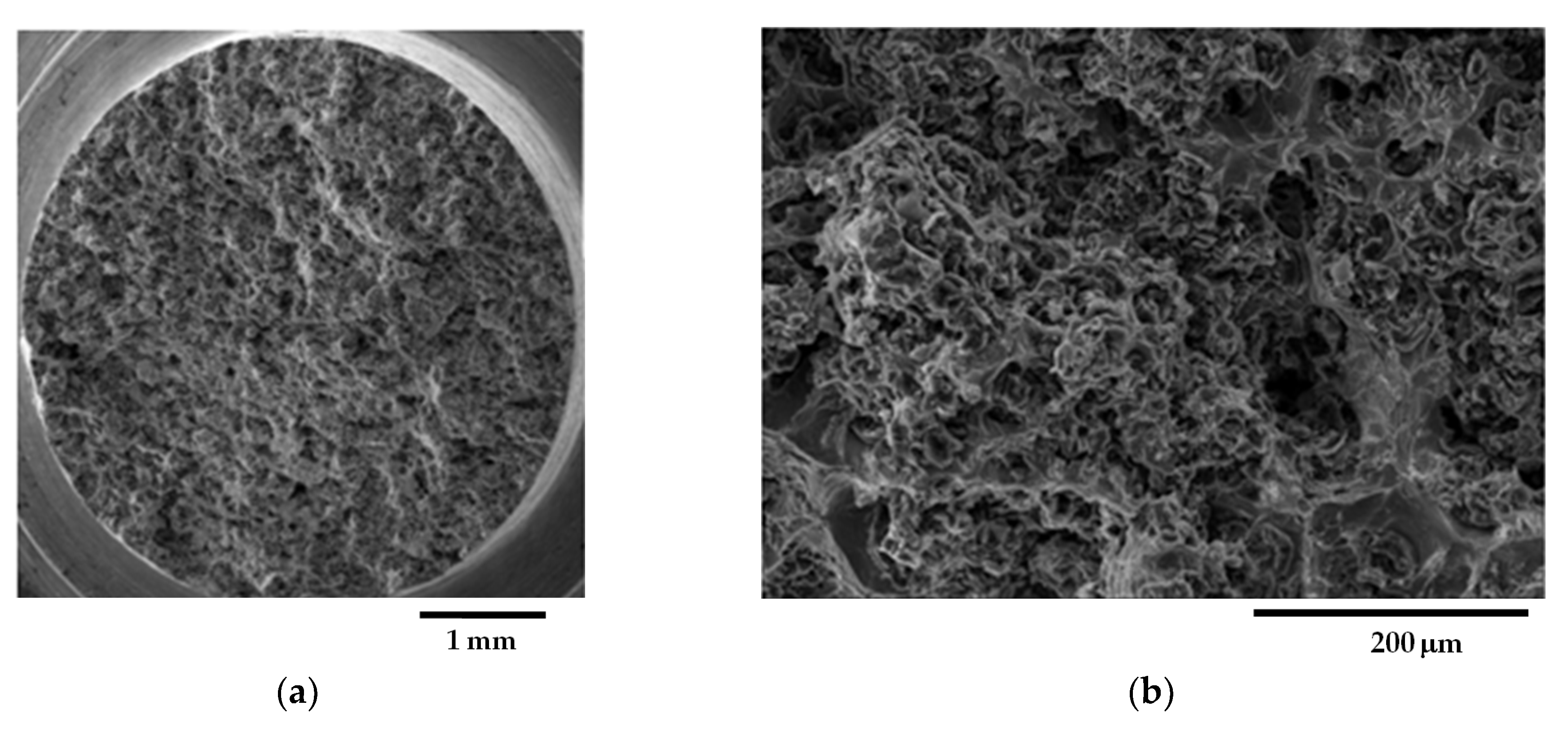 Materials 16 03748 g012