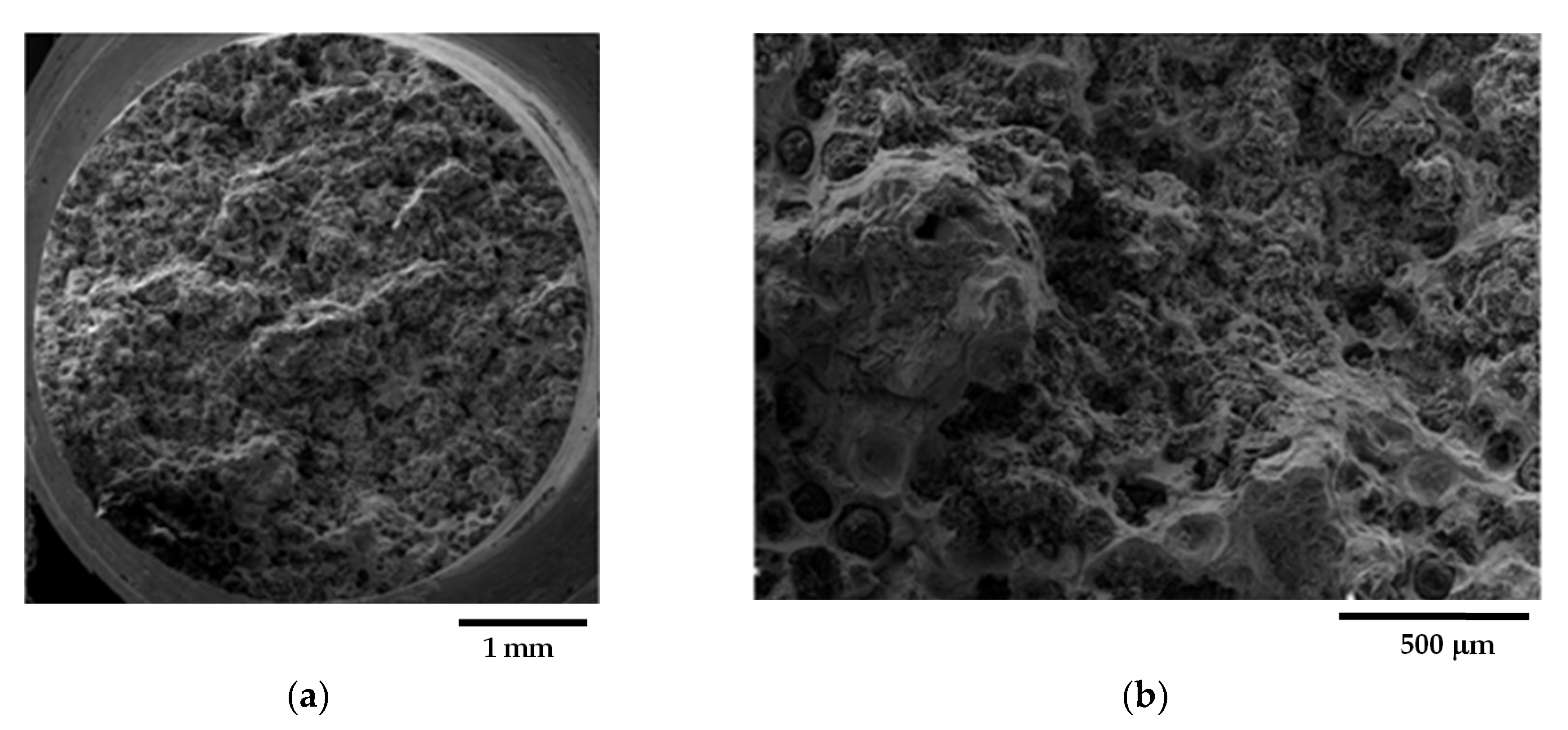 Materials 16 03748 g013