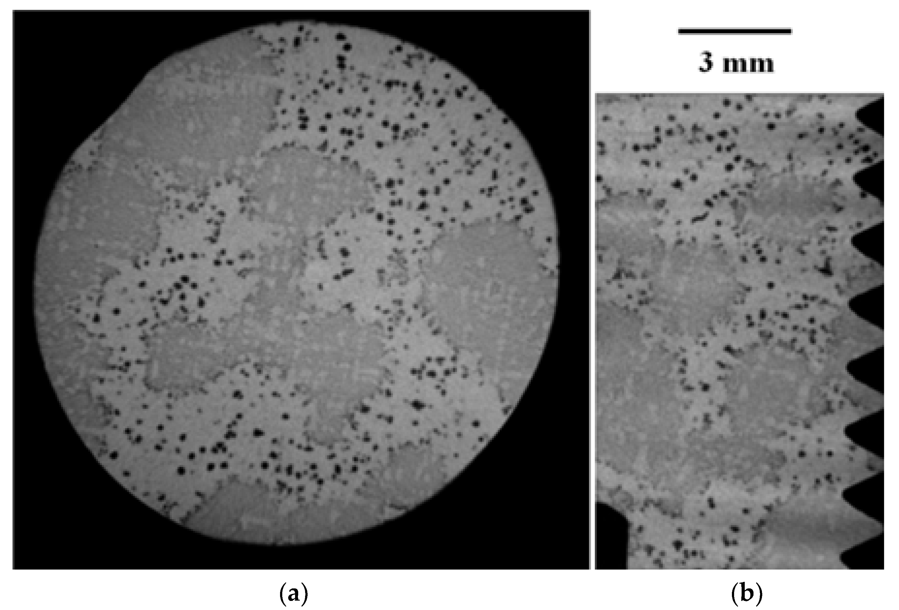 Materials 16 03748 g017