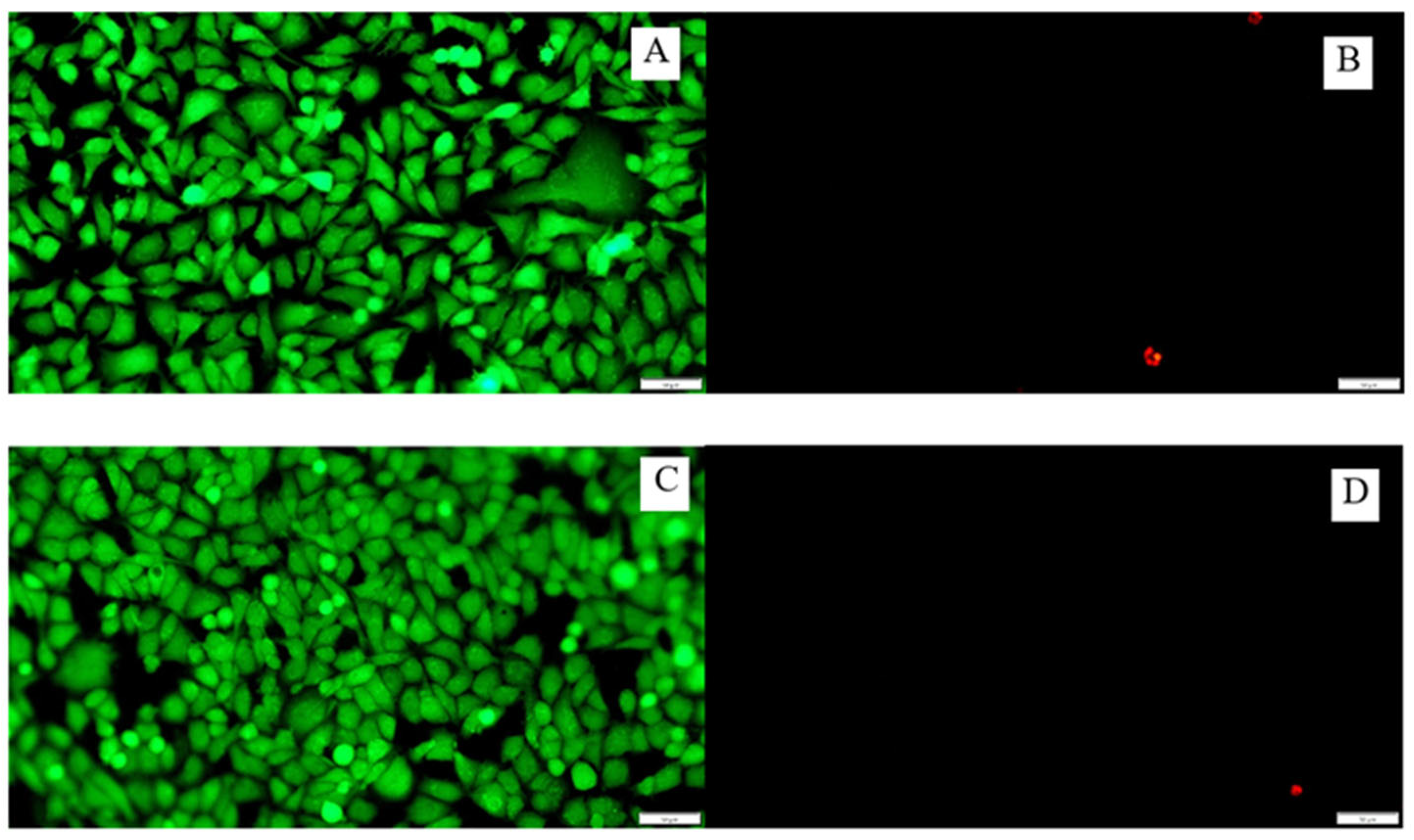 Materials 16 03765 g008 Materials 16 03765 g008
