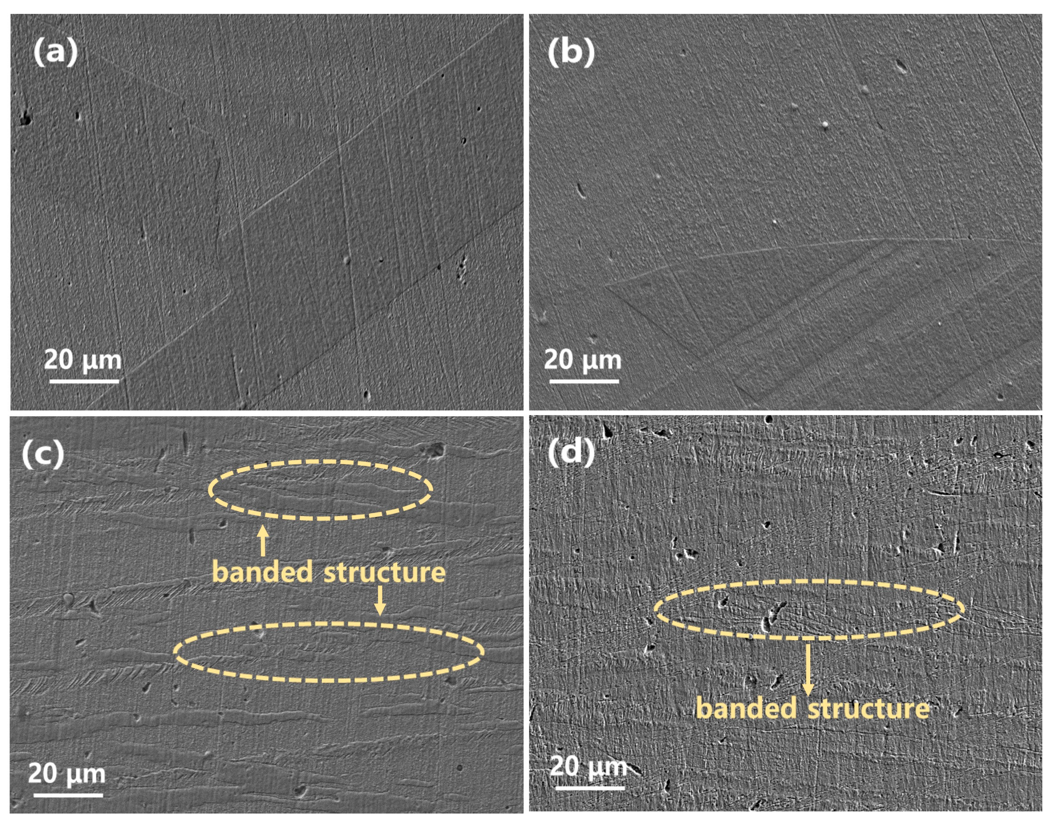 Materials 16 03780 g001