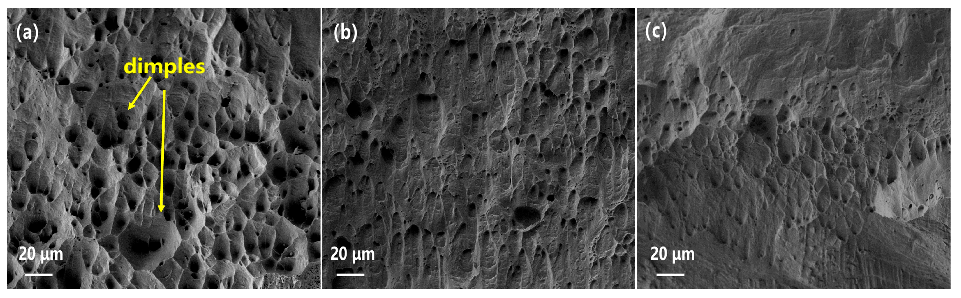Materials 16 03780 g007