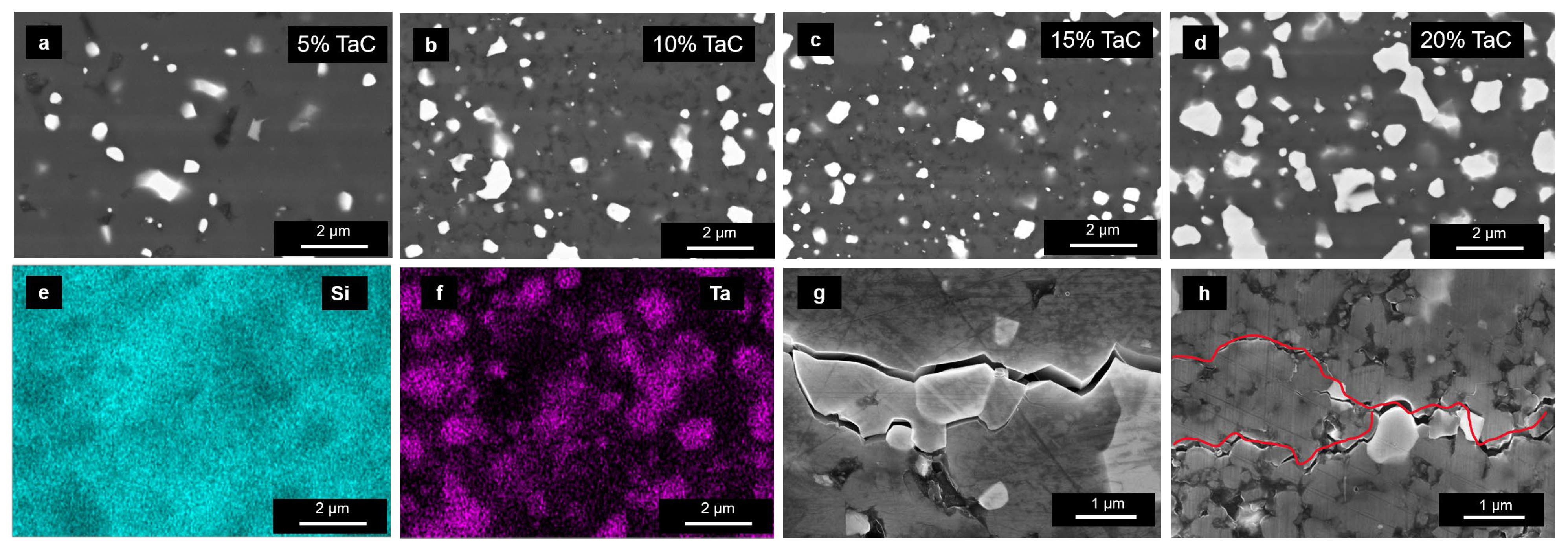 Materials 16 03787 g002