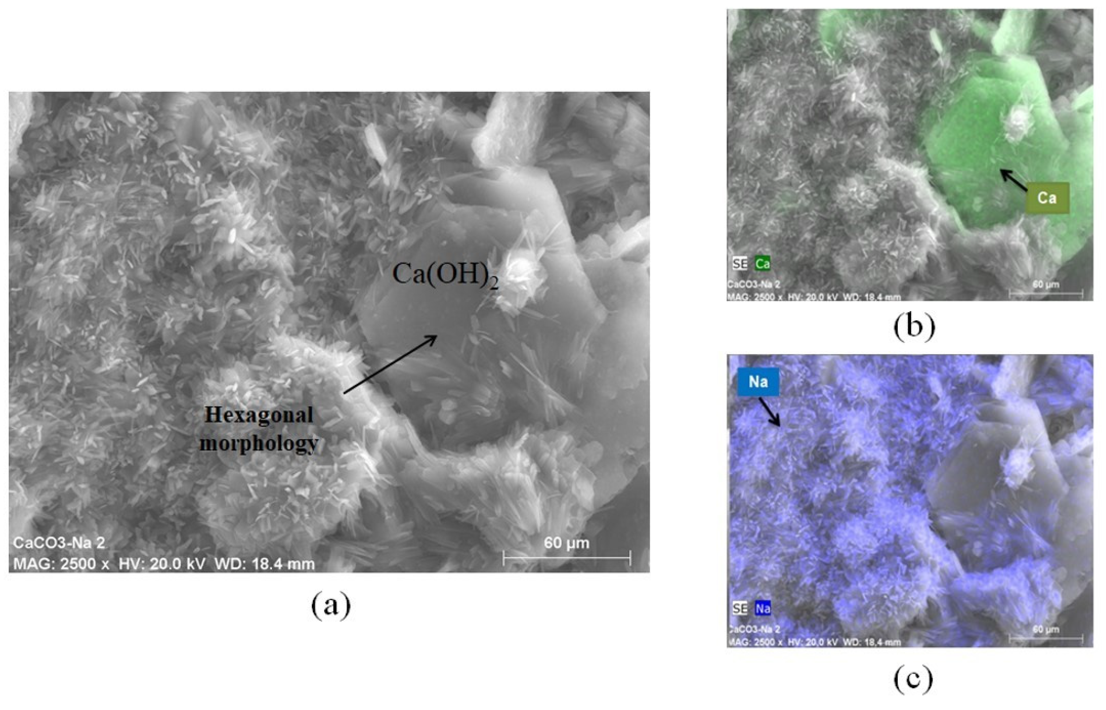 Materials 16 03818 g014 Materials 16 03818 g014