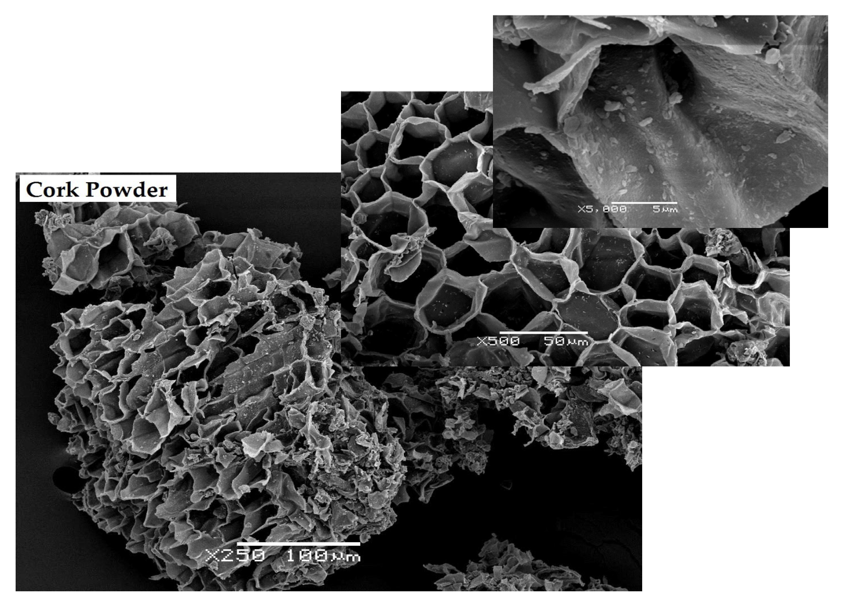 Materials 16 03829 g003