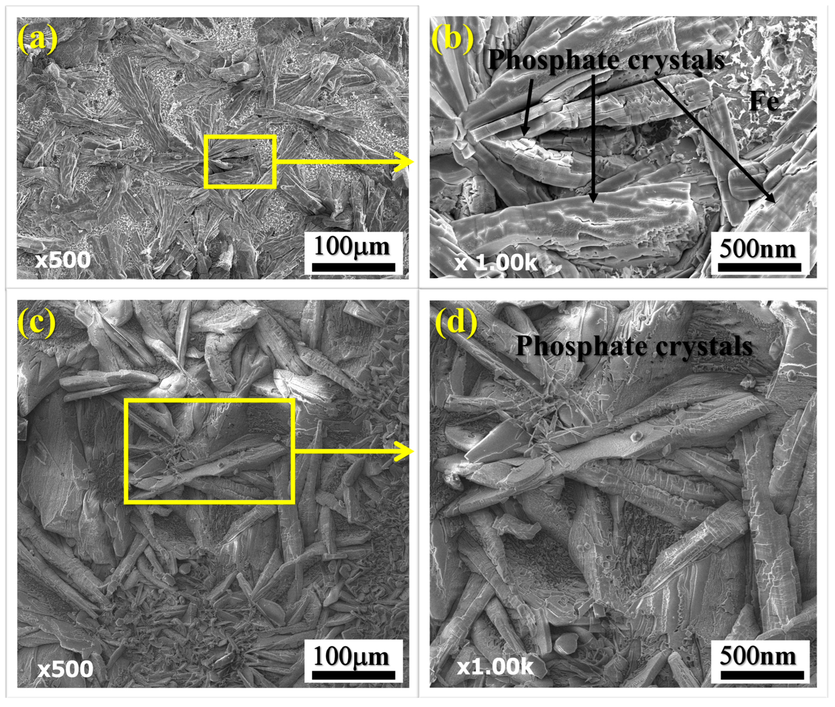 Materials 16 03835 g003