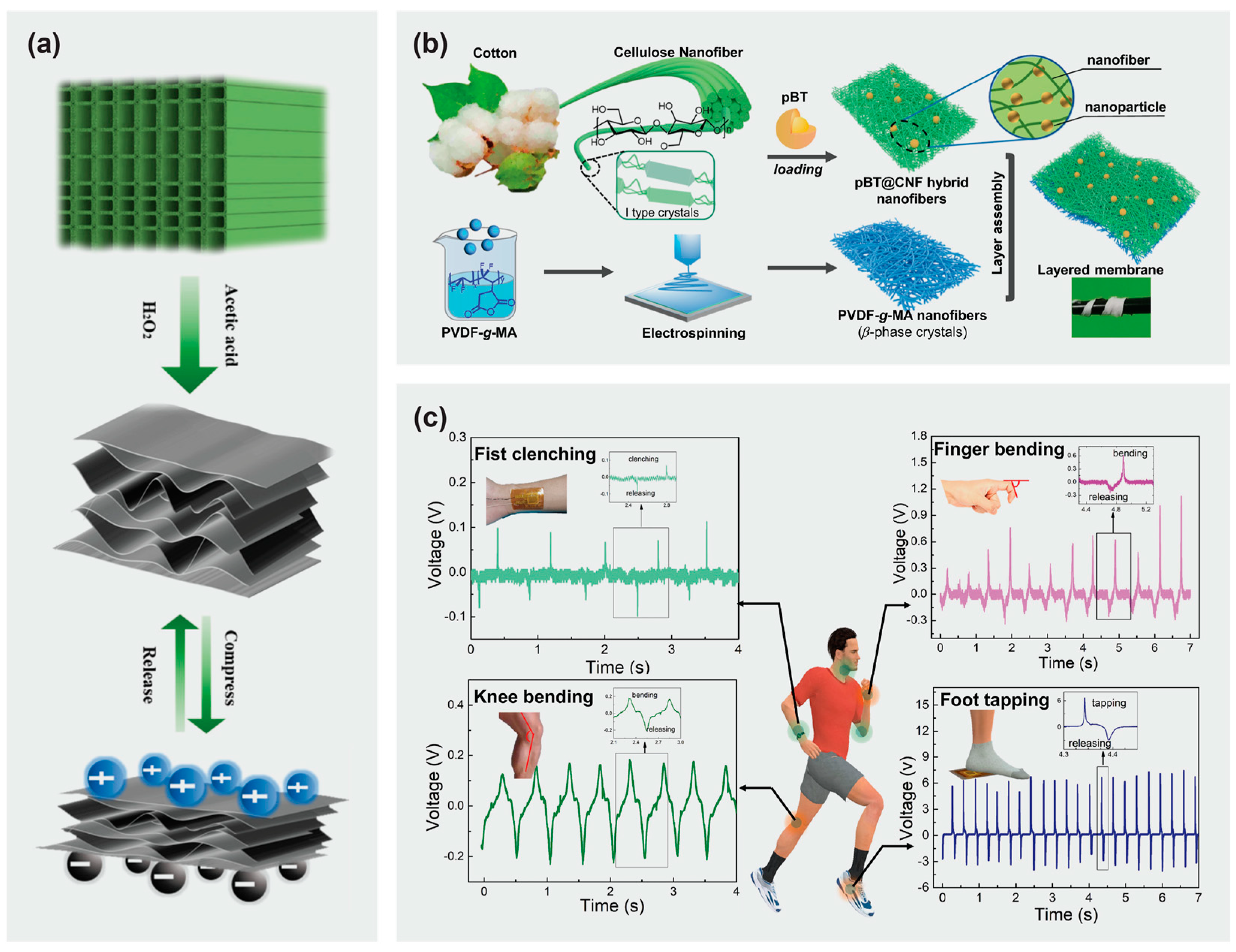 Materials 16 03856 g005 Materials 16 03856 g005