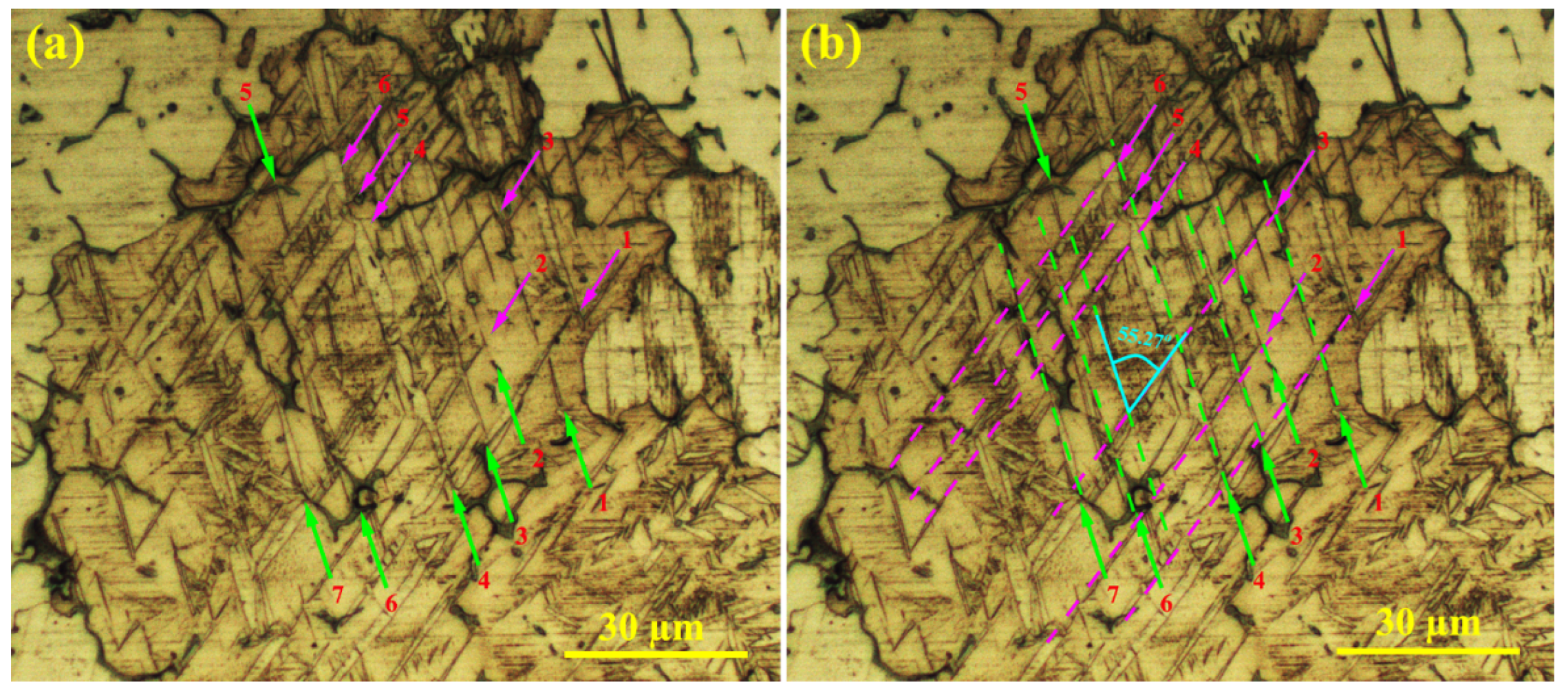 Materials 16 03885 g009