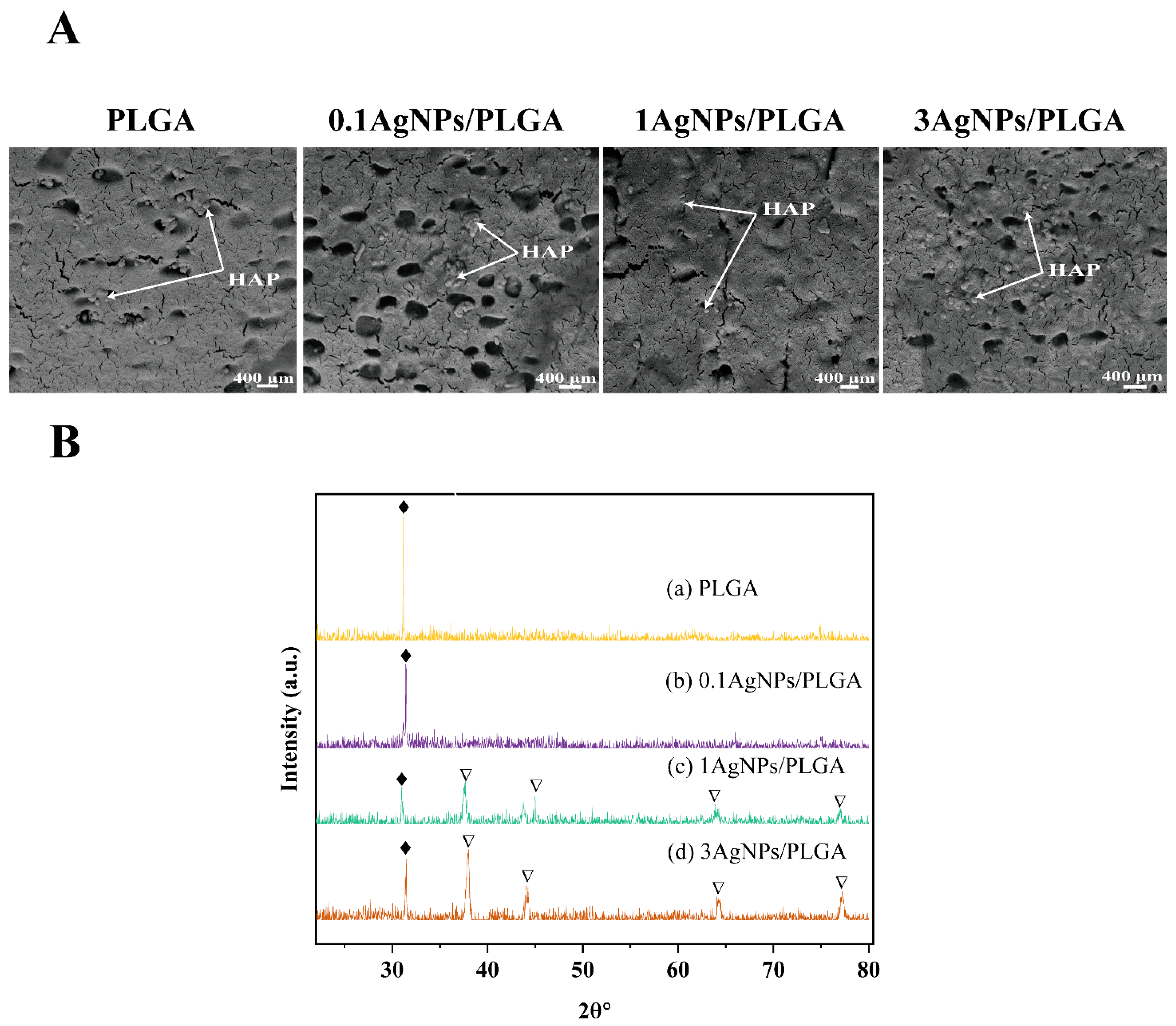 Materials 16 03895 g004
