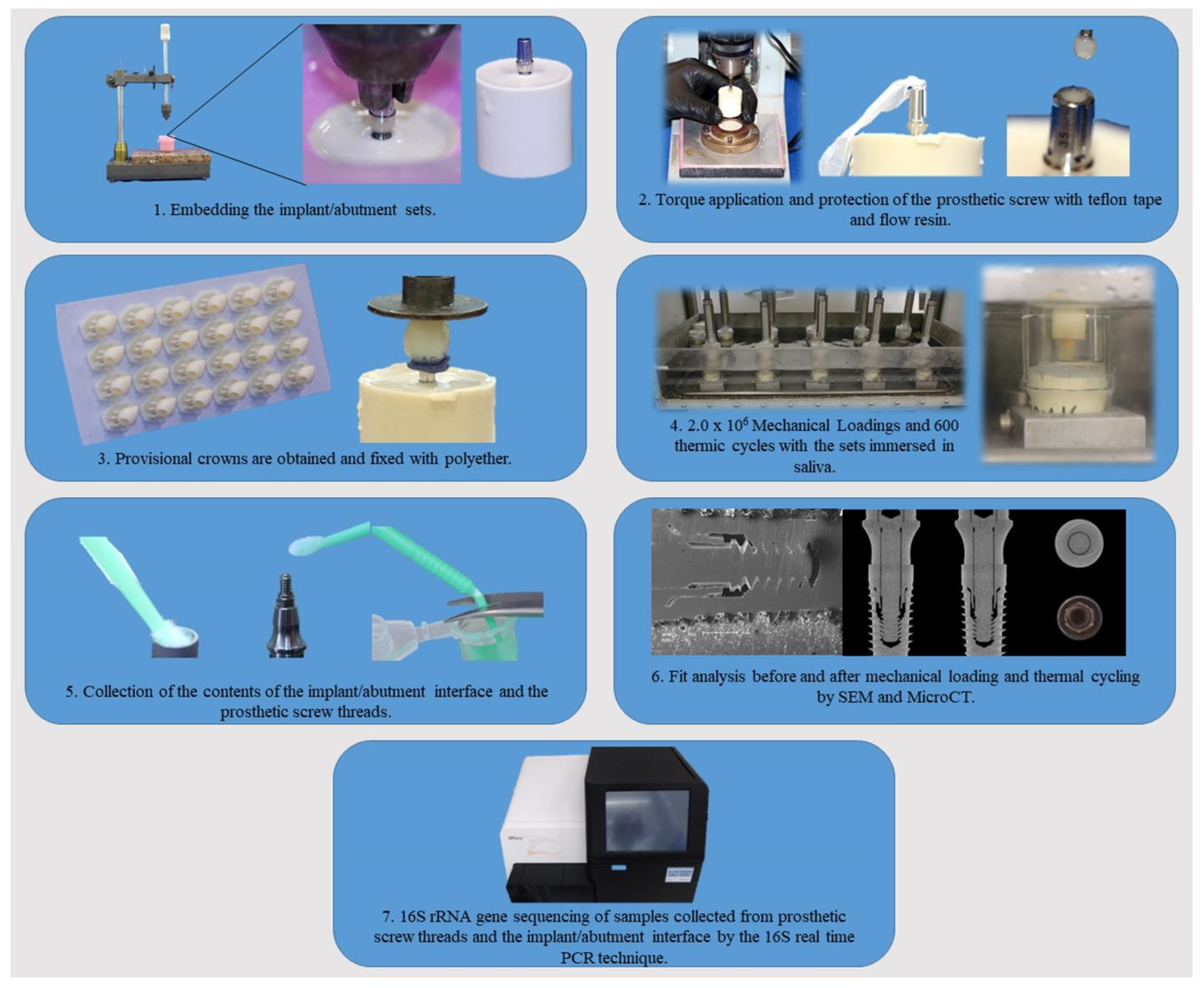 Materials | Free Full-Text | Bacterial Detection, Deformation, and Torque  Loss on Dental Implants with Different Tapered Connections Compared with  External Hexagon Connection after Thermomechanical Cycling