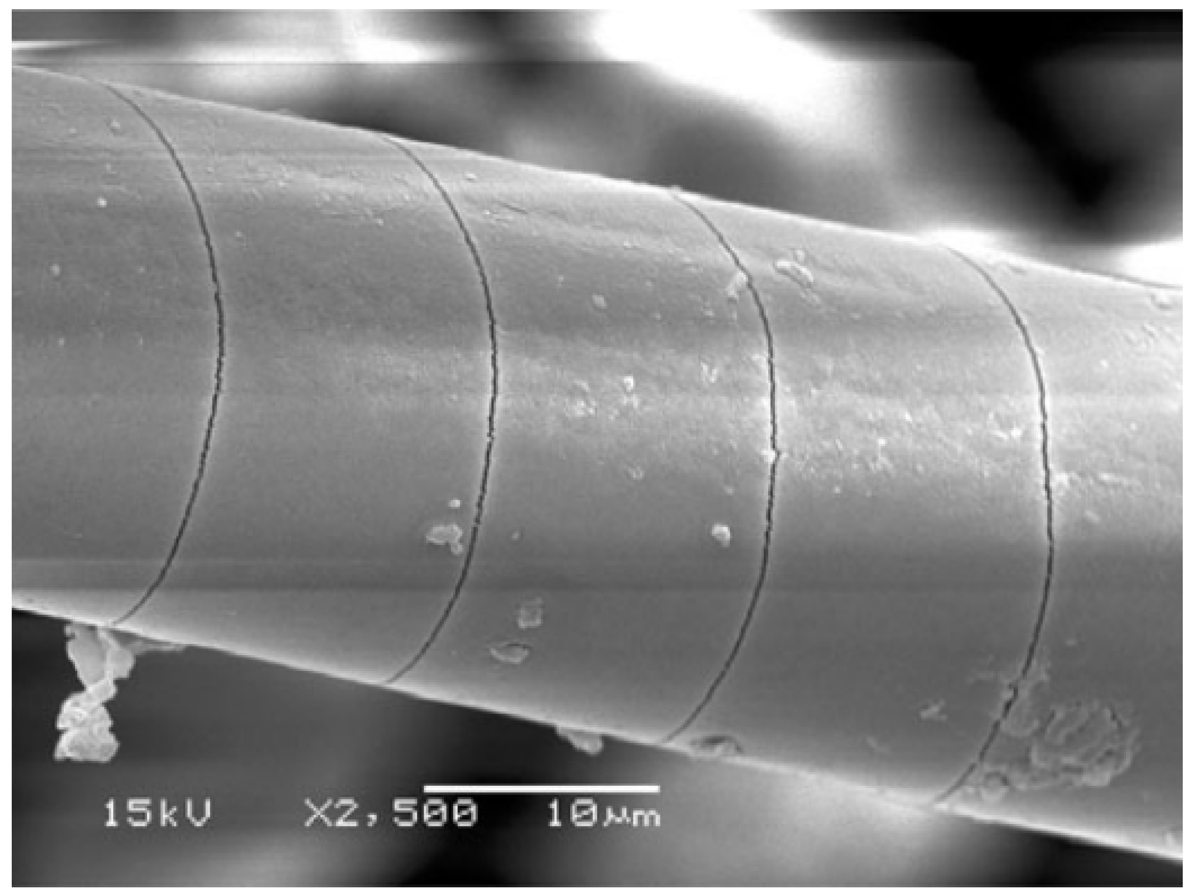 Materials 16 03913 g006 Materials 16 03913 g006