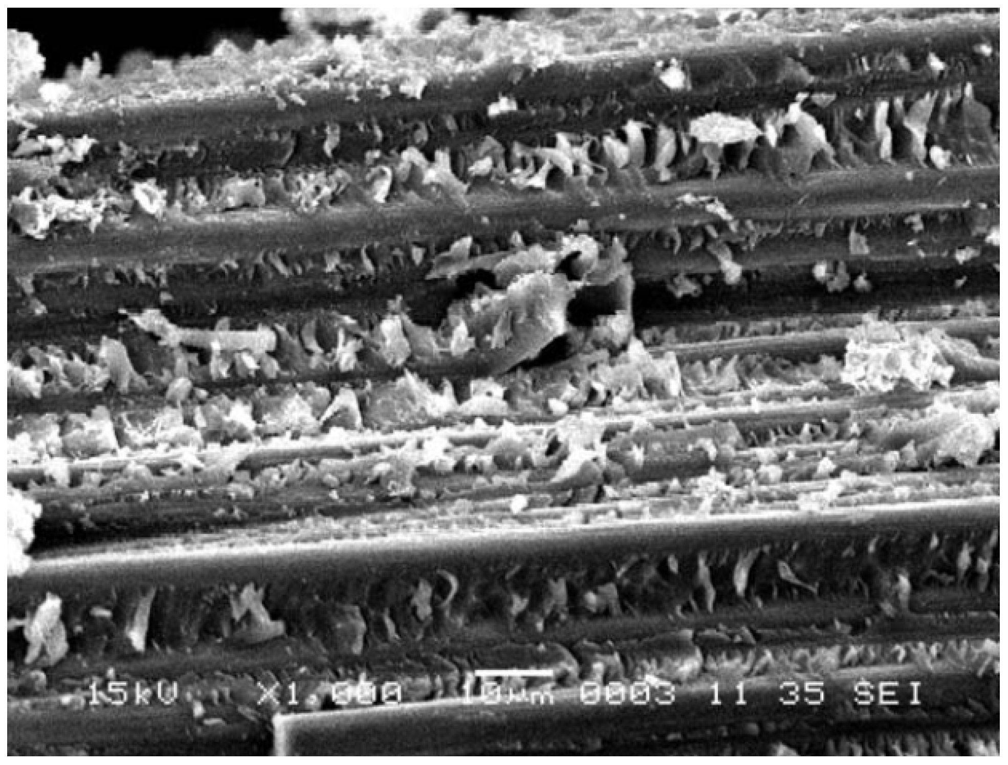 Materials 16 03913 g013 Materials 16 03913 g013