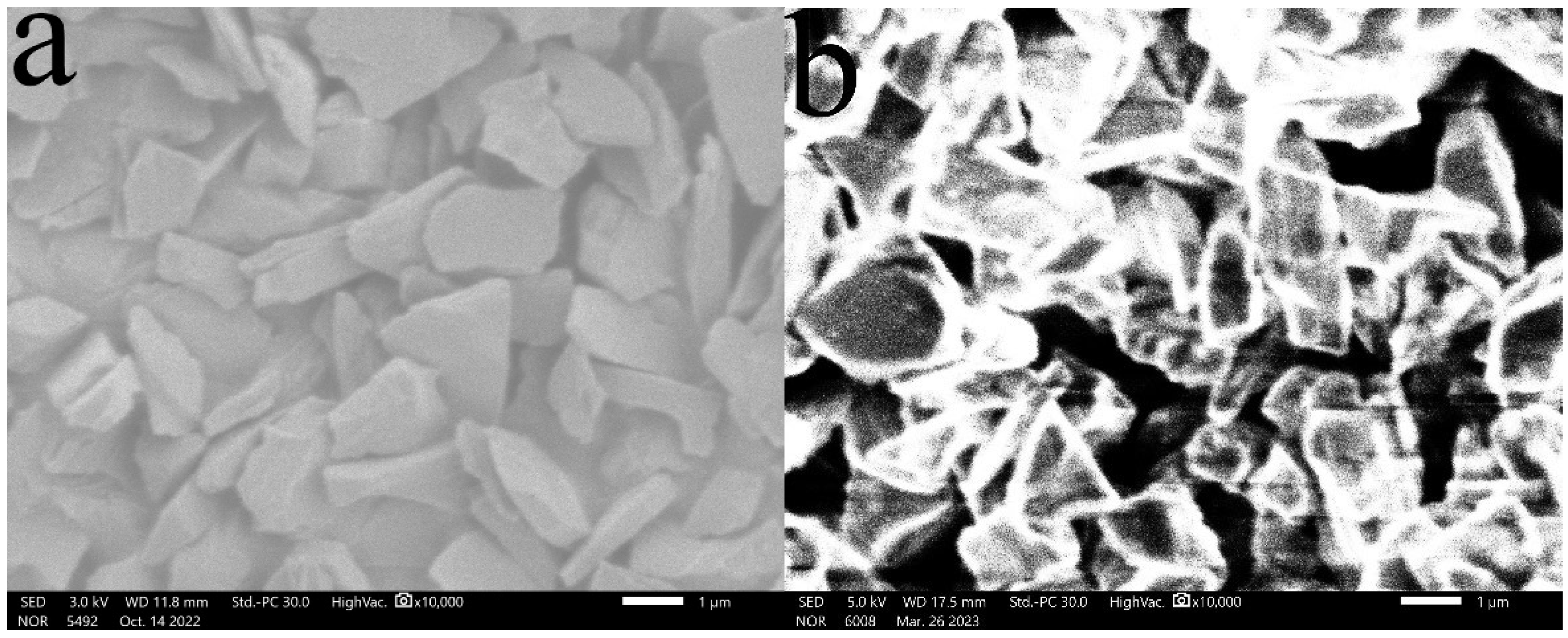 Conductive Adhesives for Scanning Electron Microscopy