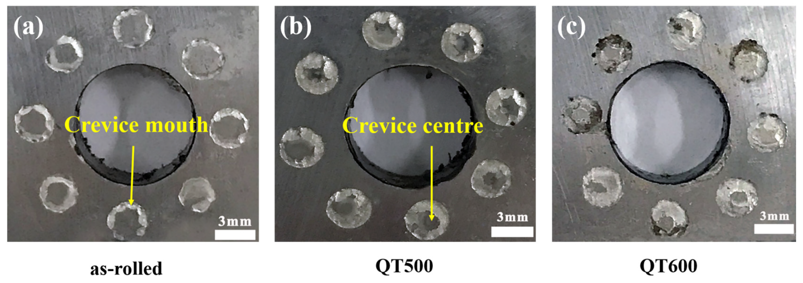 Materials 16 03952 g007