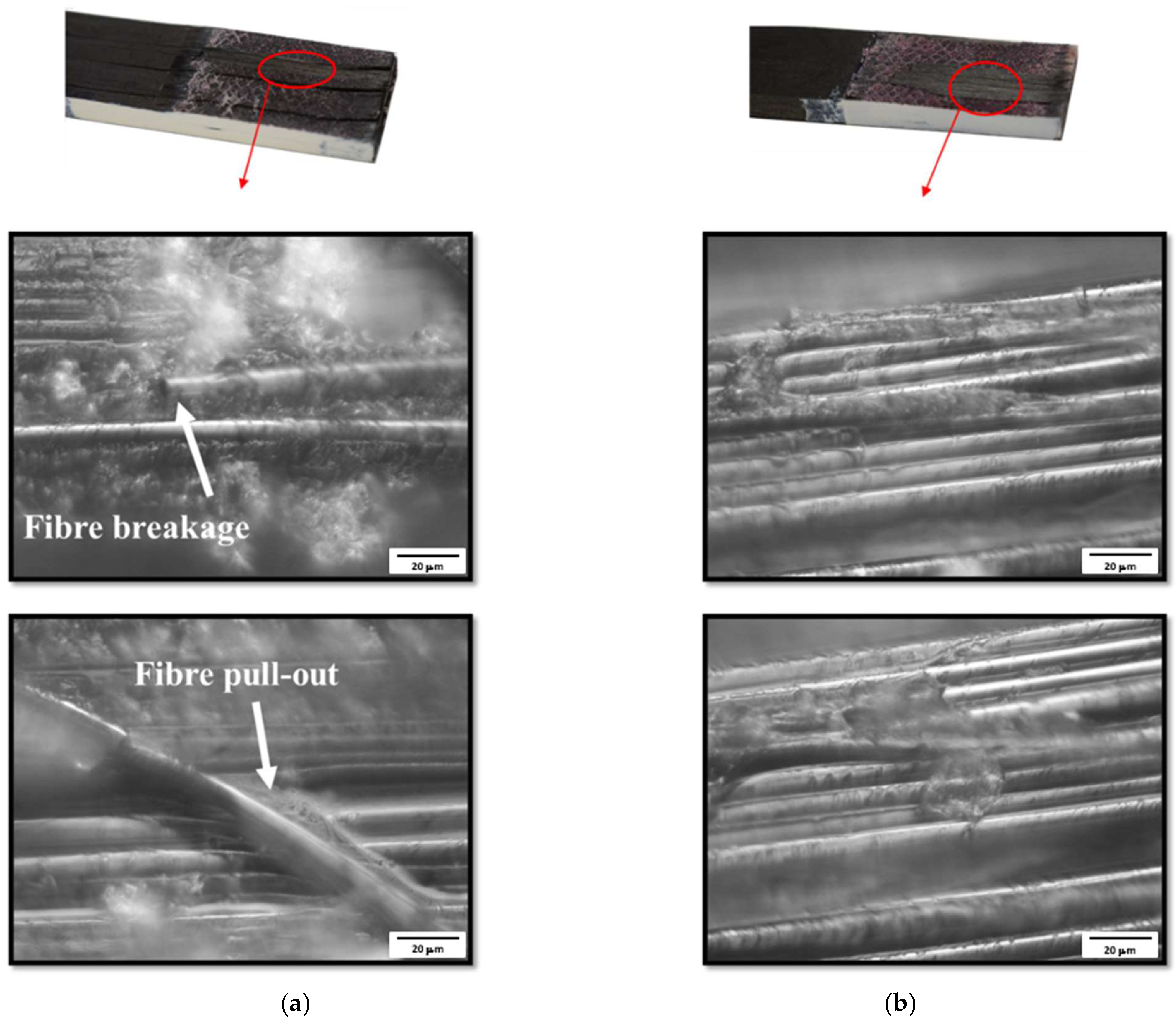 Materials 16 04002 g007 Materials 16 04002 g007
