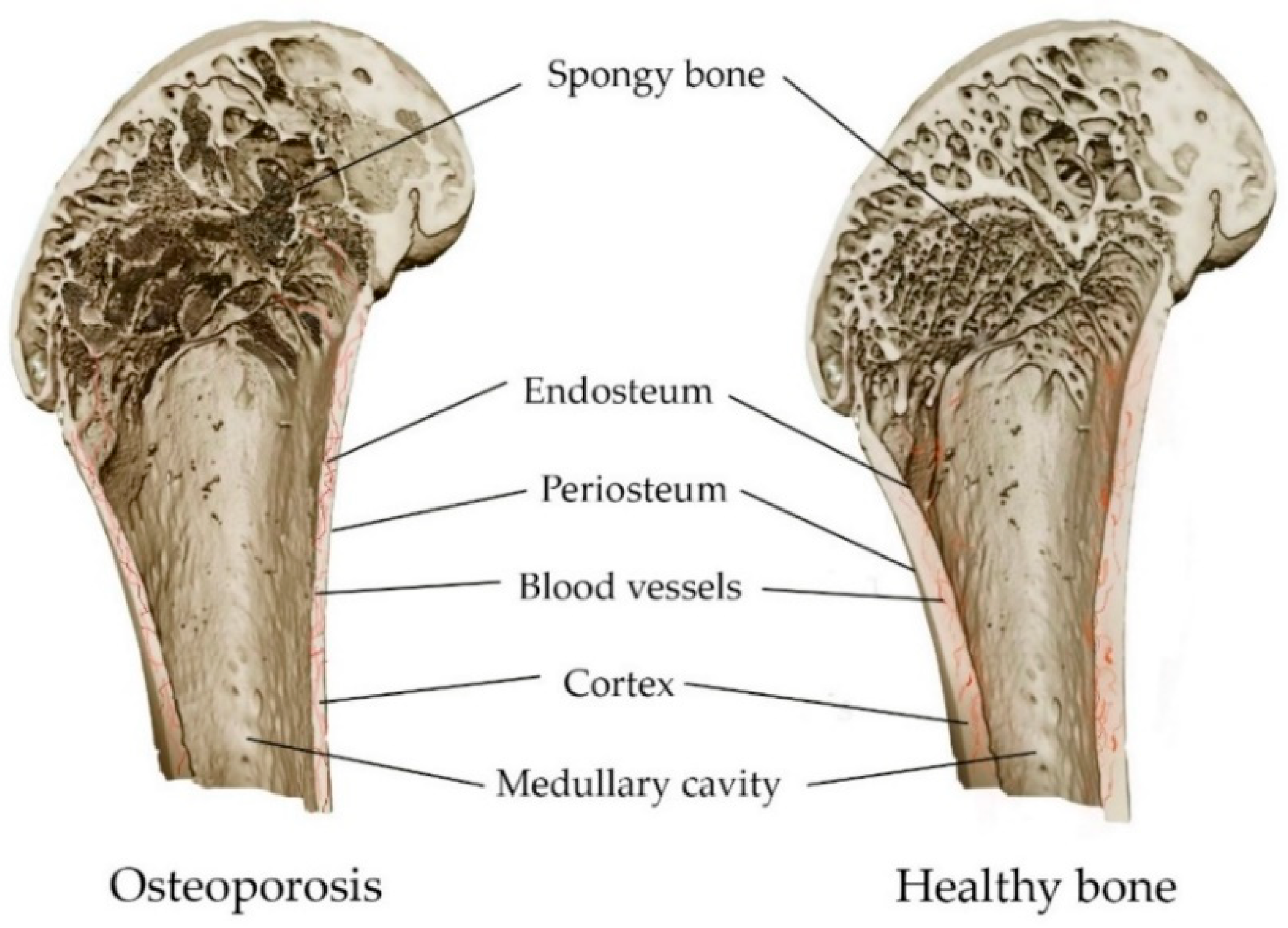 Materials 16 04017 g004