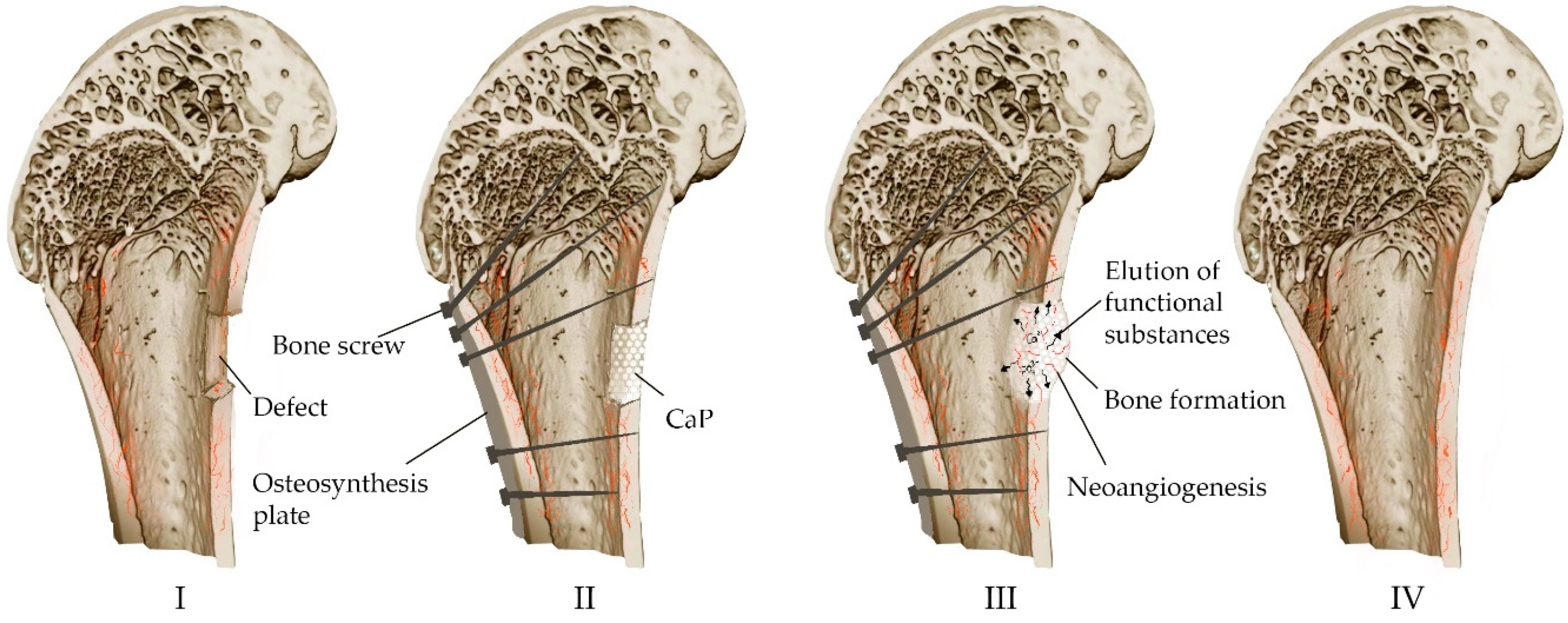 Materials 16 04017 g006
