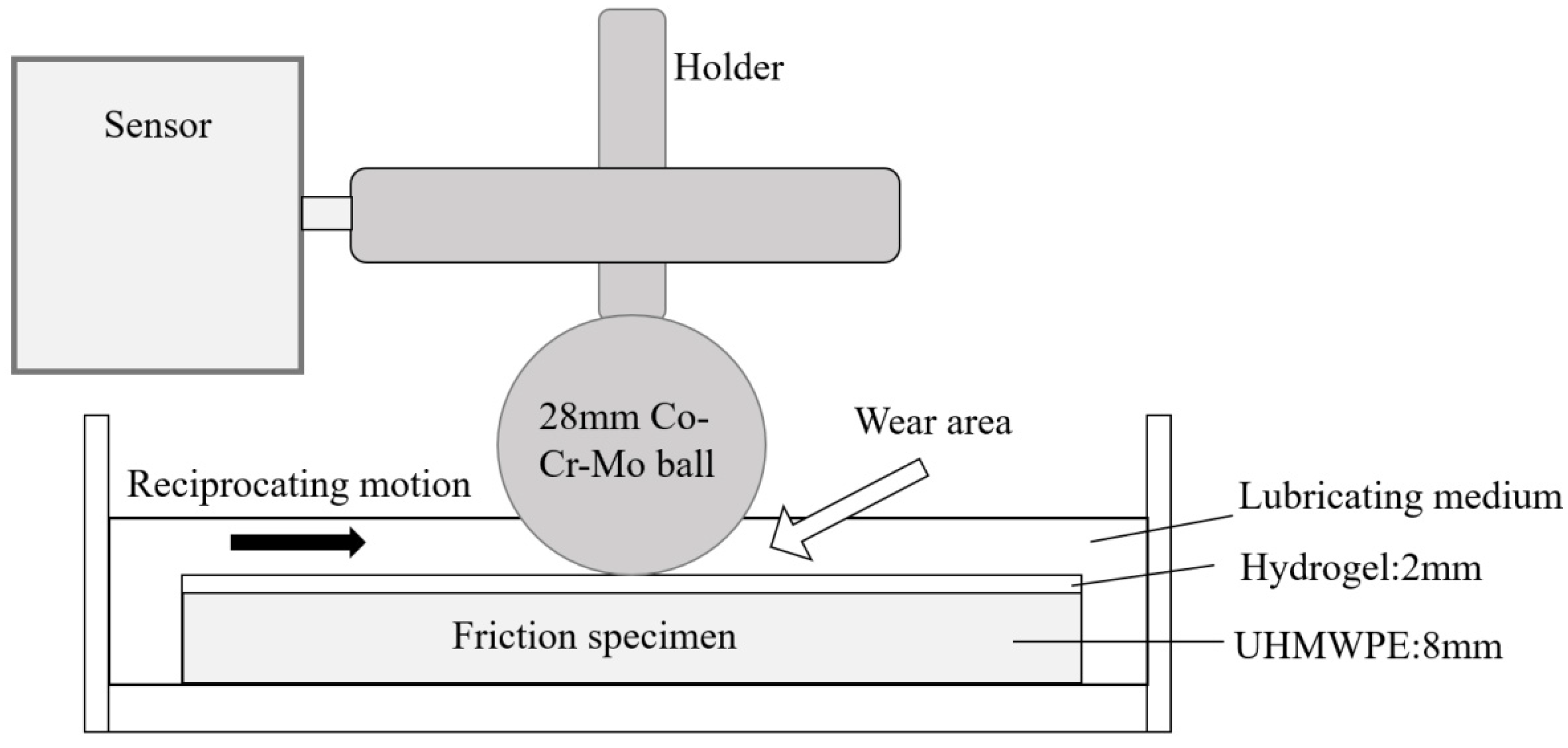 Materials 16 04023 g004