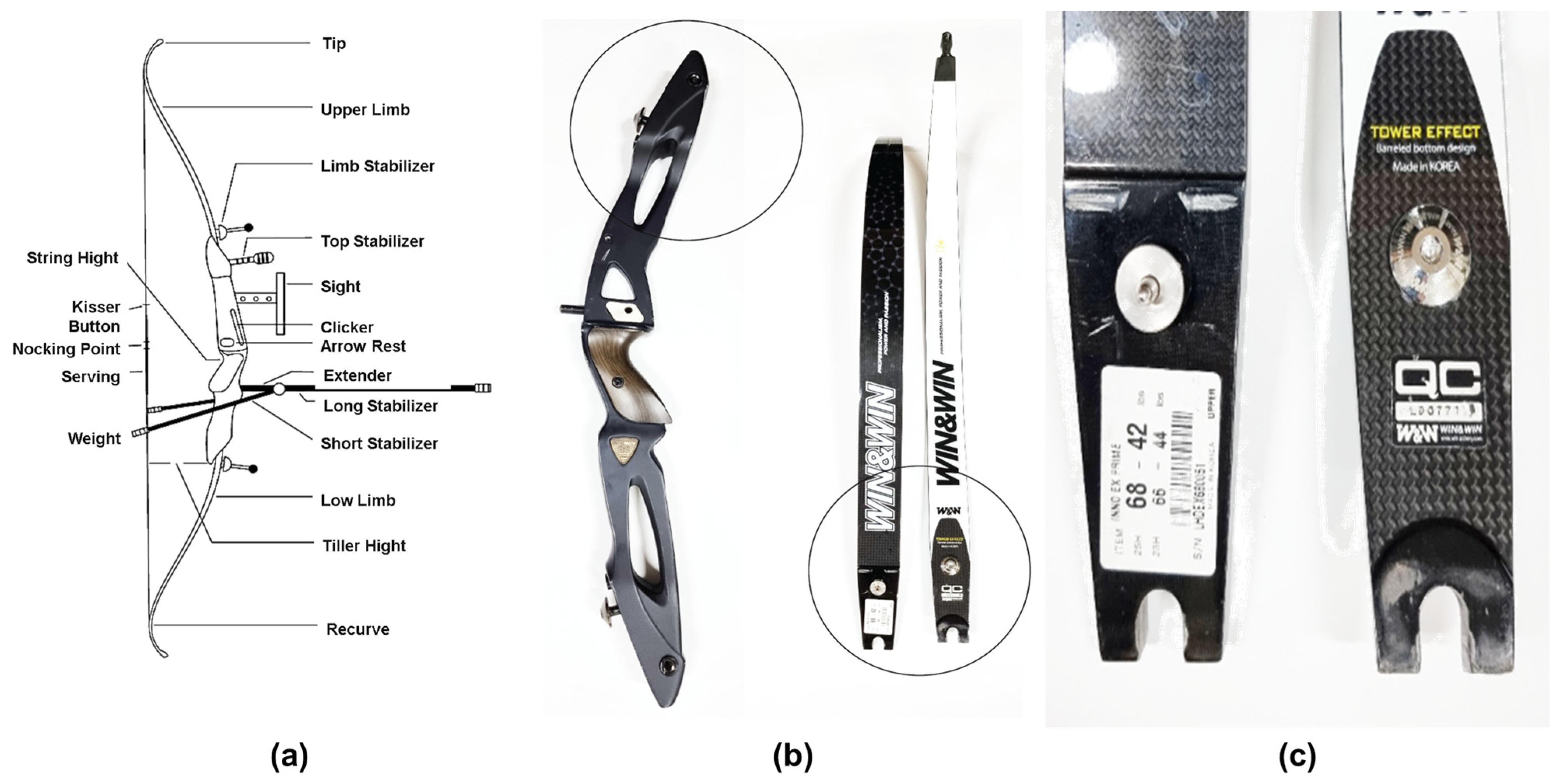 https://www.mdpi.com/materials/materials-16-04048/article_deploy/html/images/materials-16-04048-g001.png