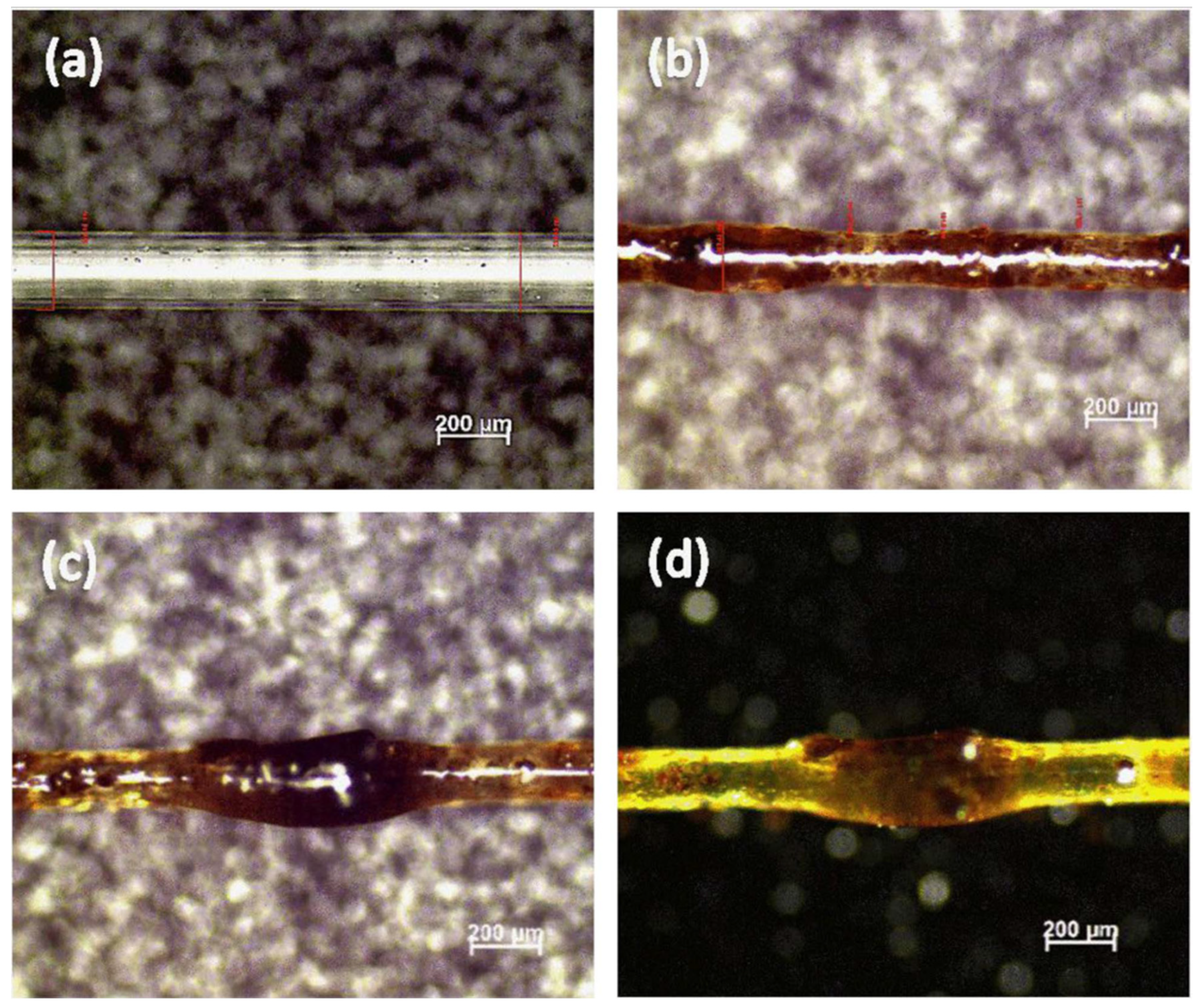 Materials 16 04052 g008