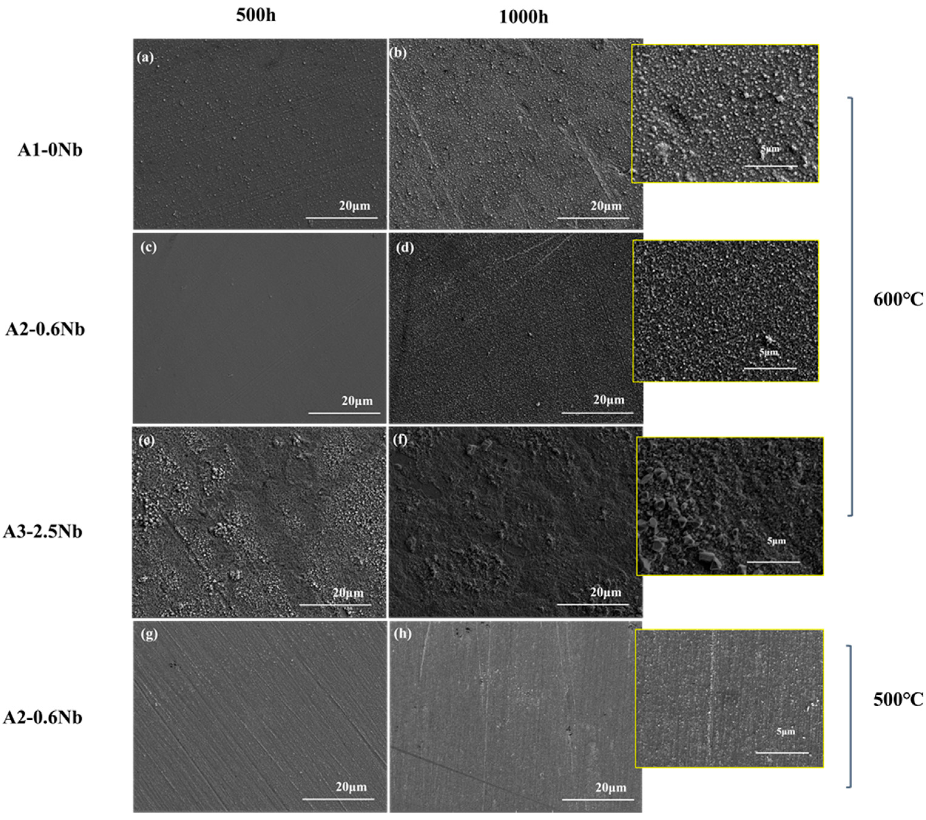 Materials 16 04081 g005