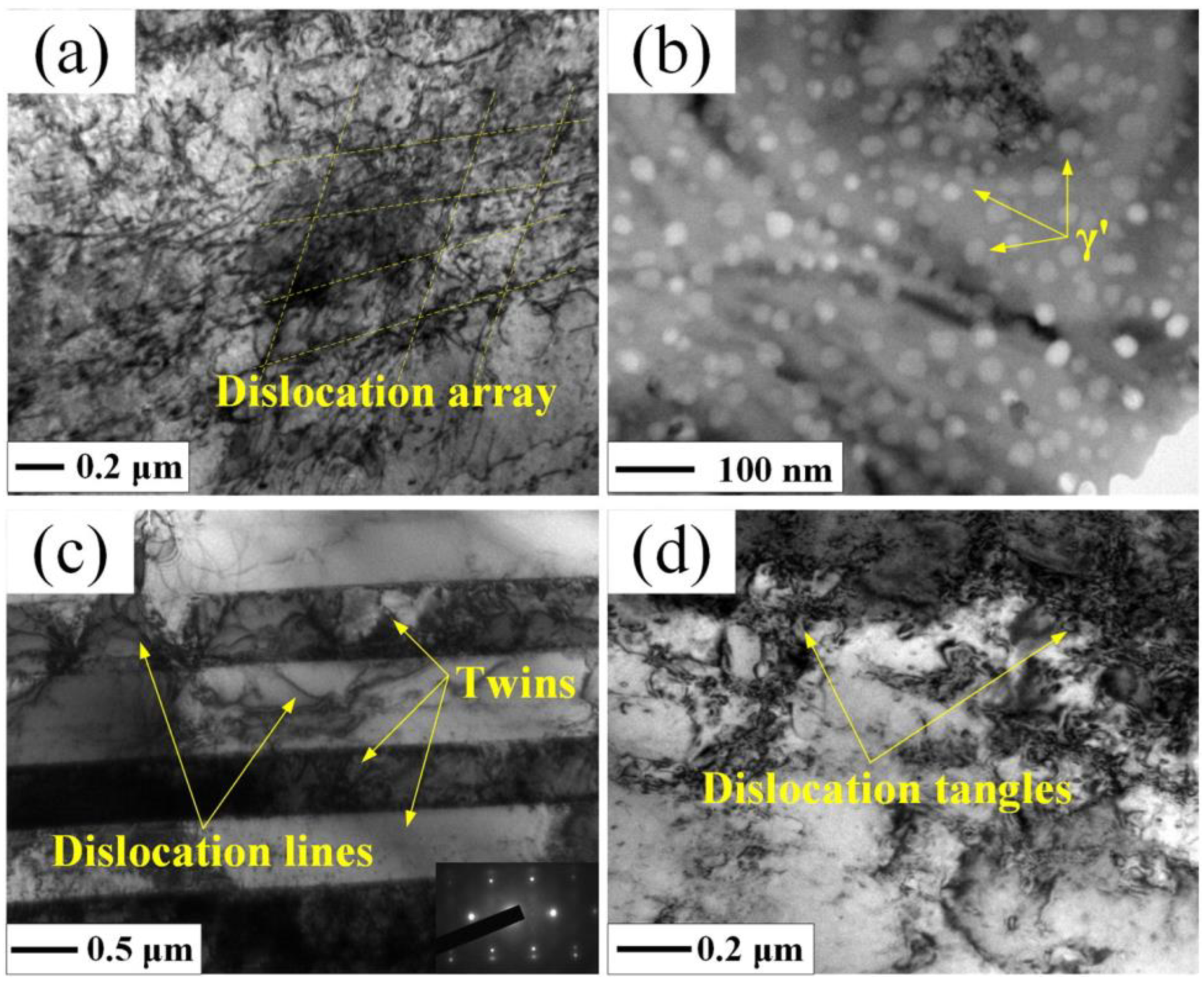Materials 16 04124 g011
