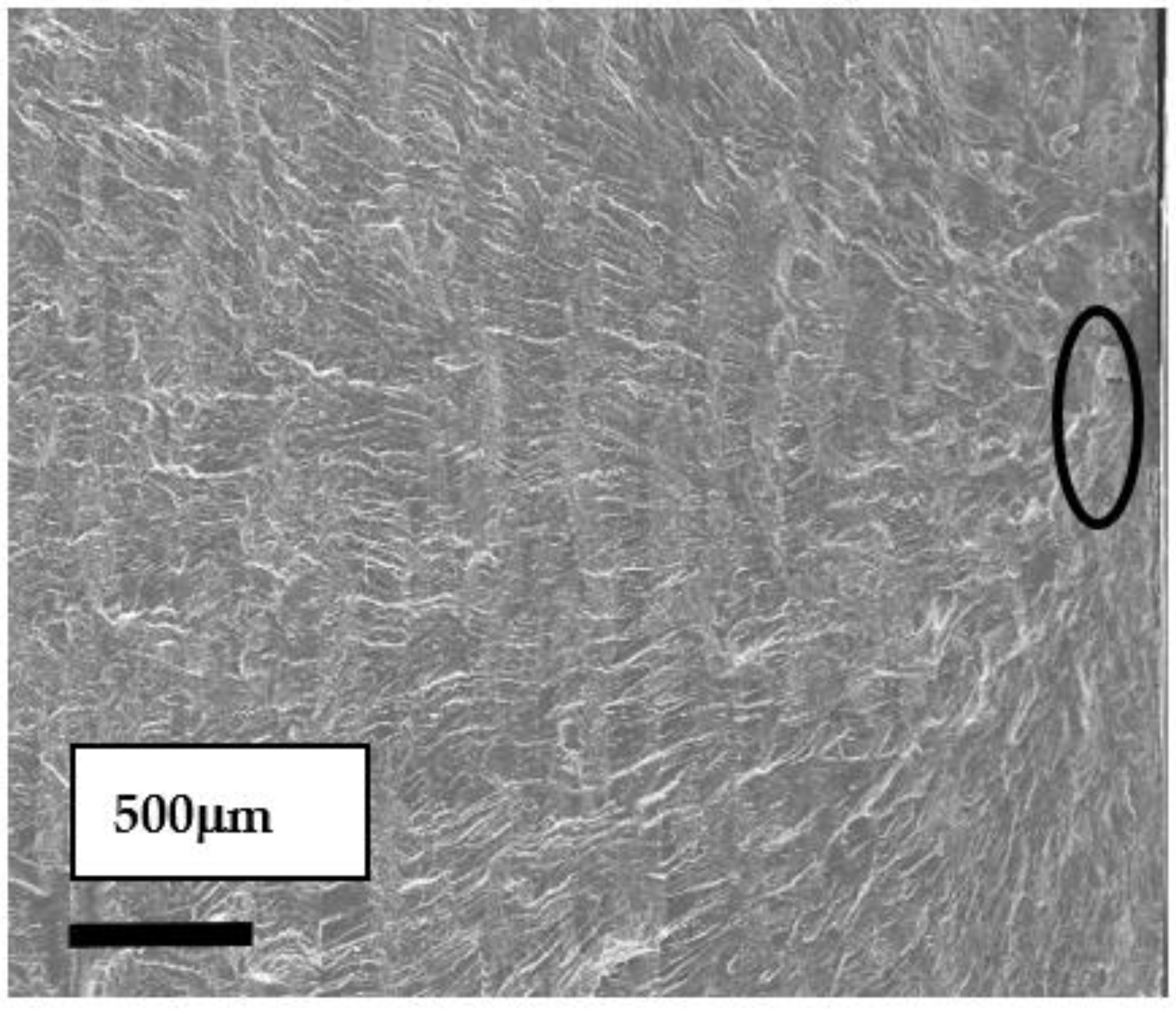 Materials 16 04161 g004