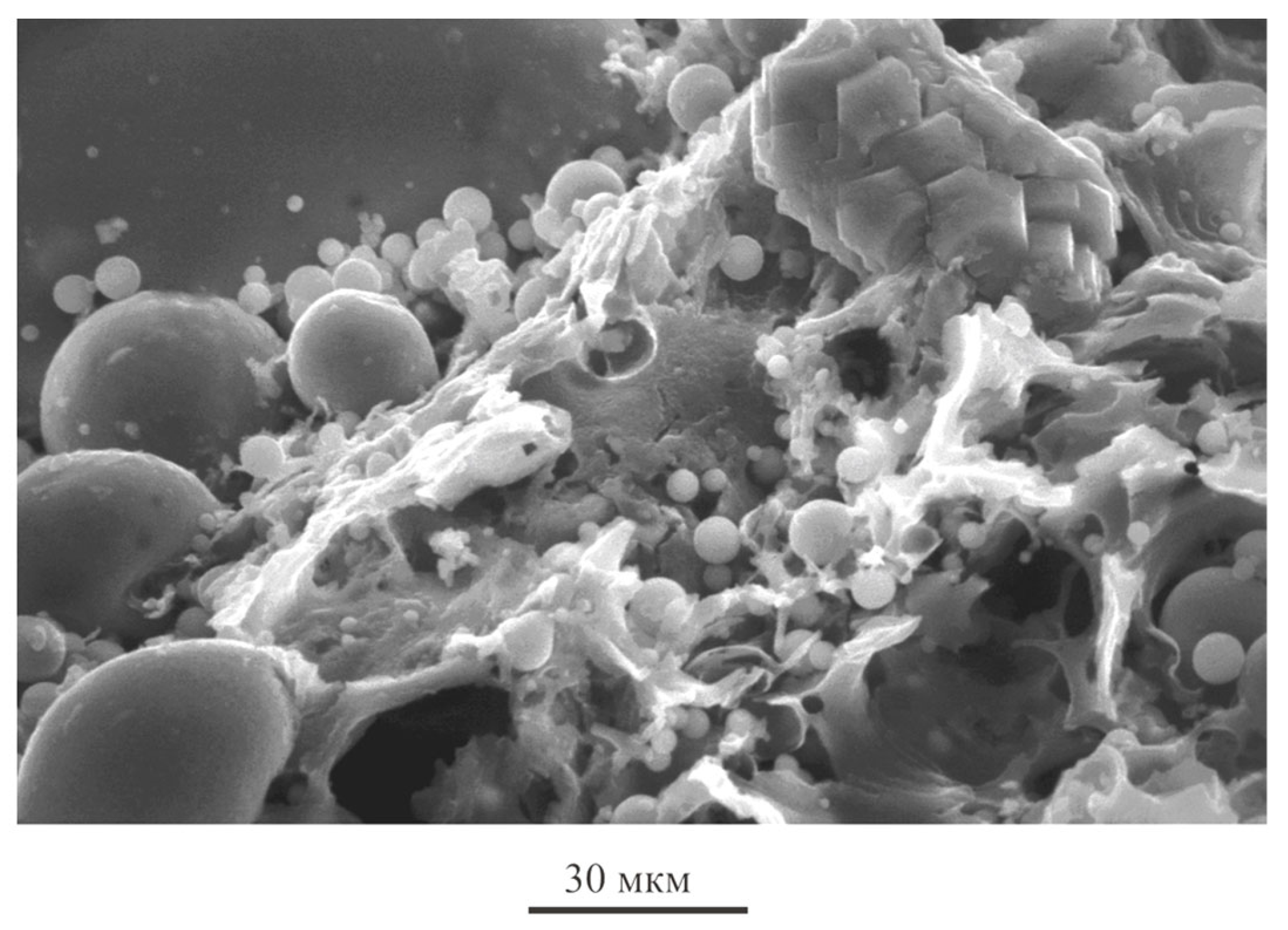 Materials 16 04213 g004 Materials 16 04213 g004