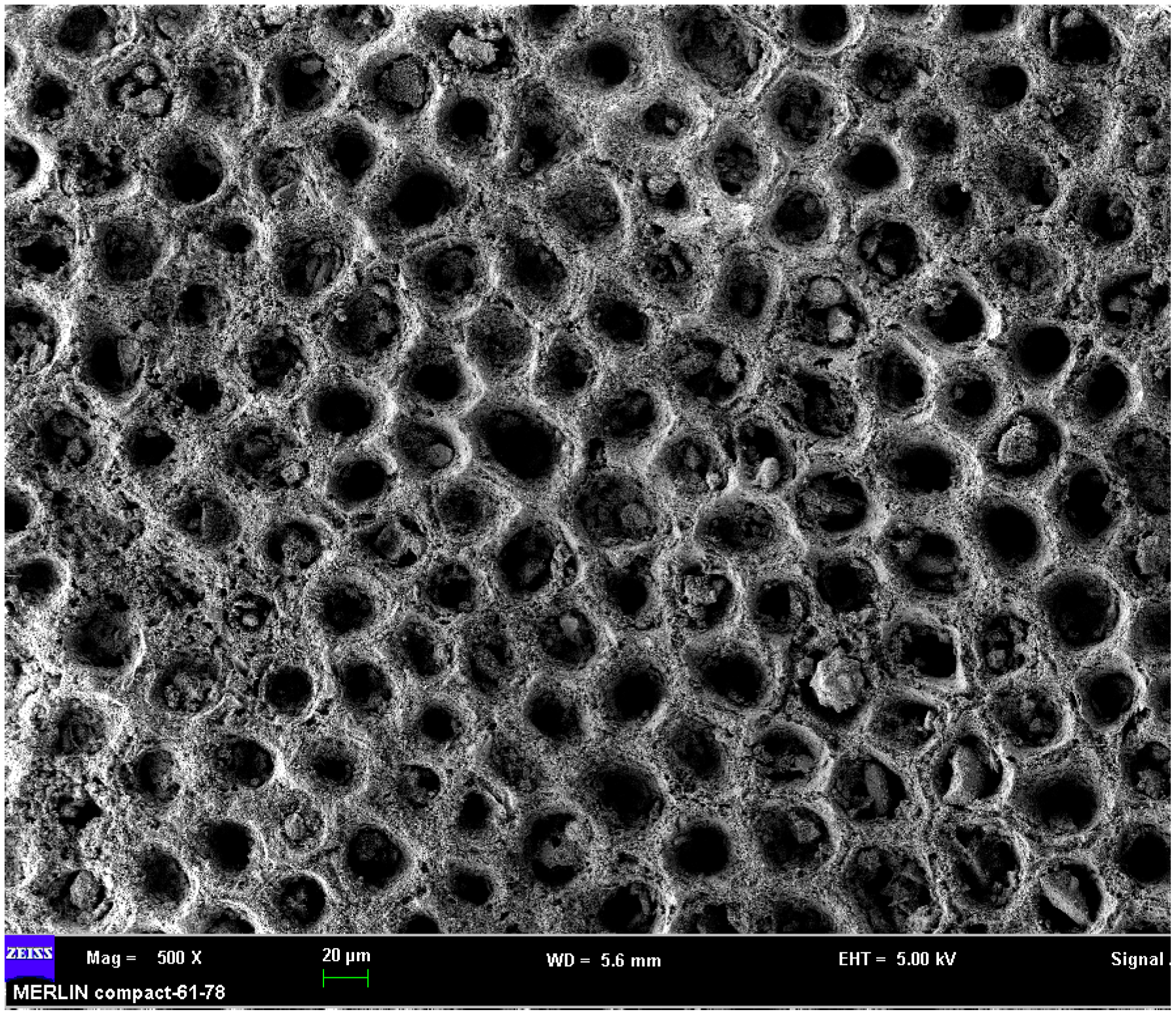 Materials 16 04217 g004 Materials 16 04217 g004