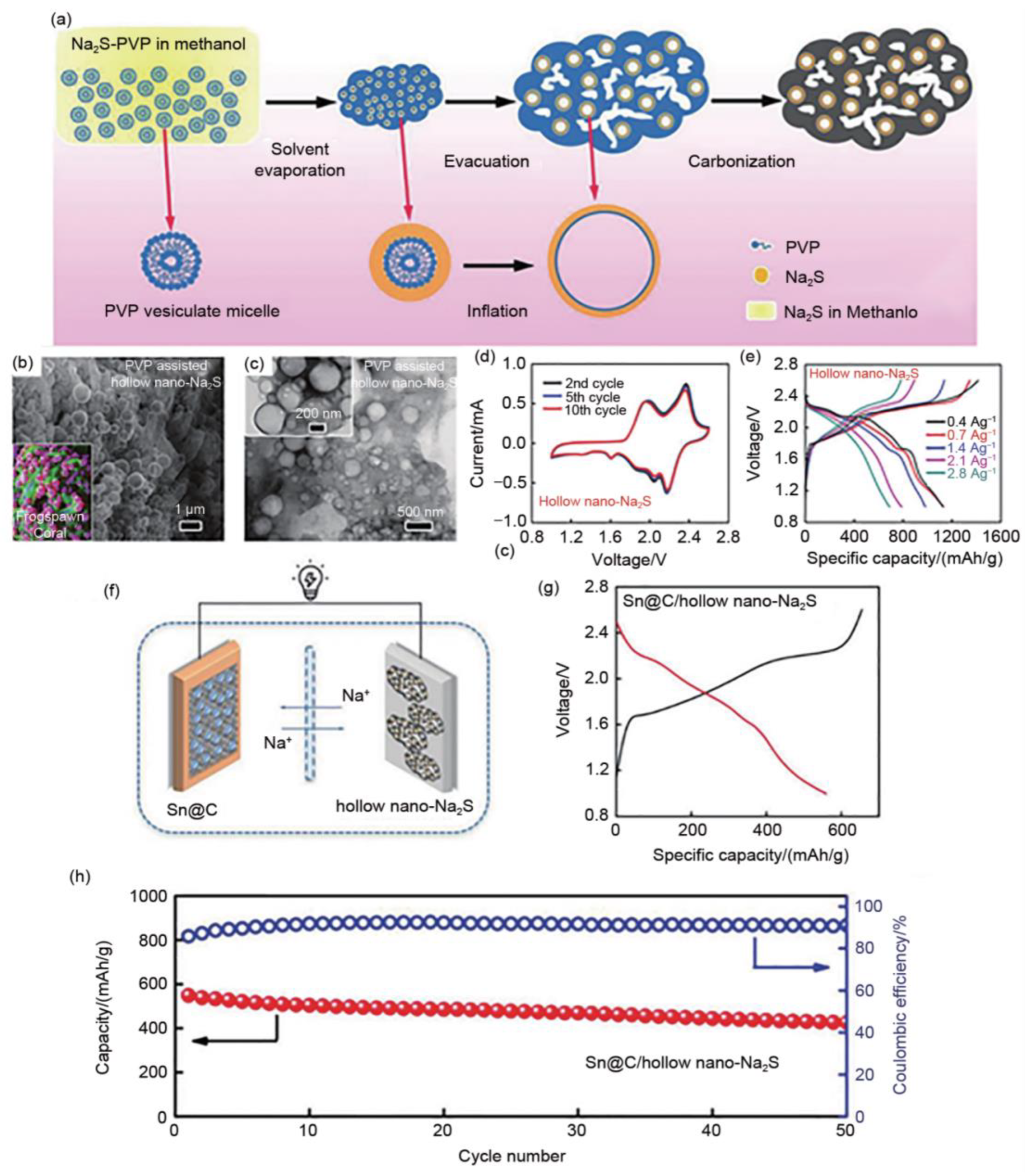 Materials 16 04263 g010 Materials 16 04263 g010