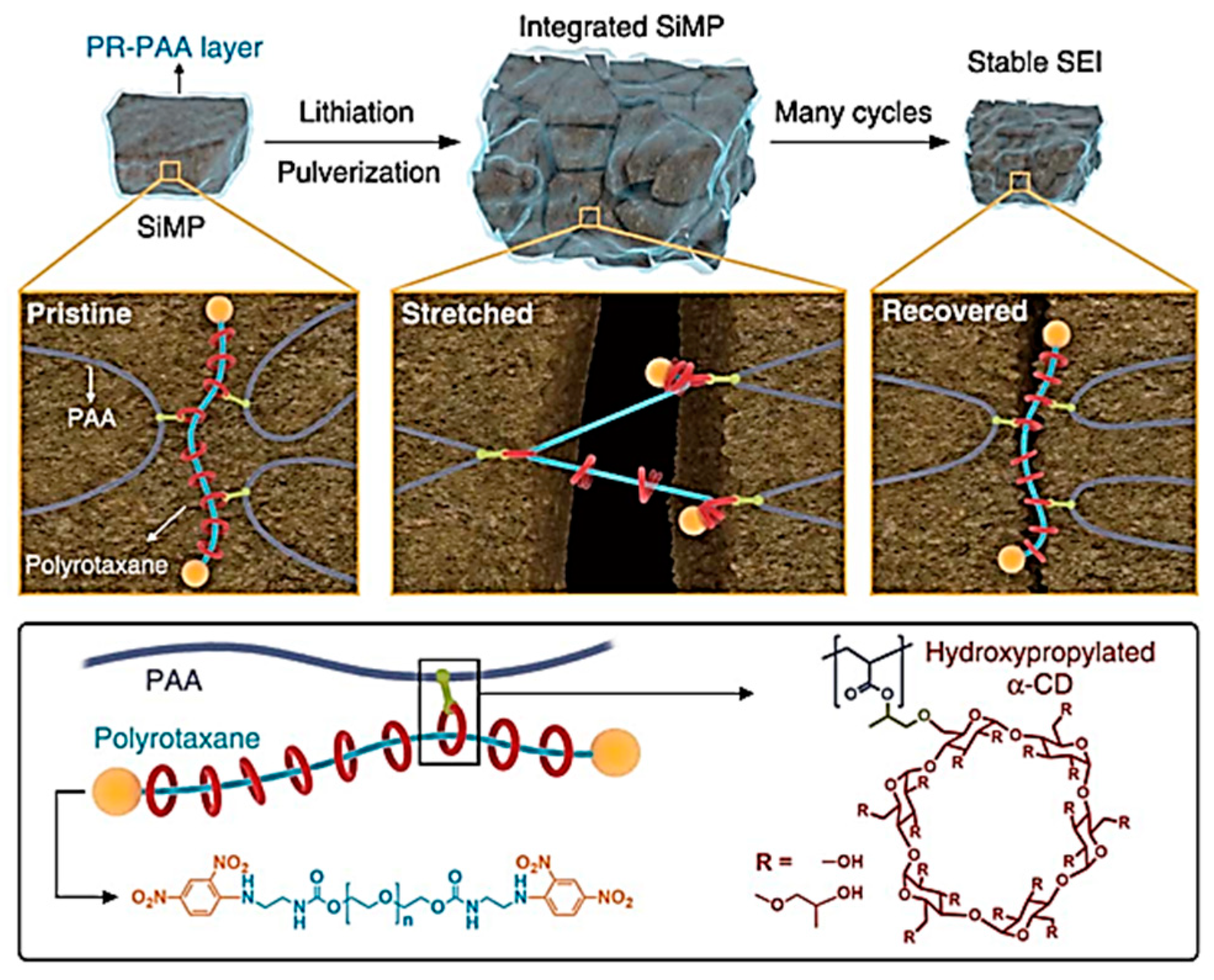 Materials 16 04266 g010
