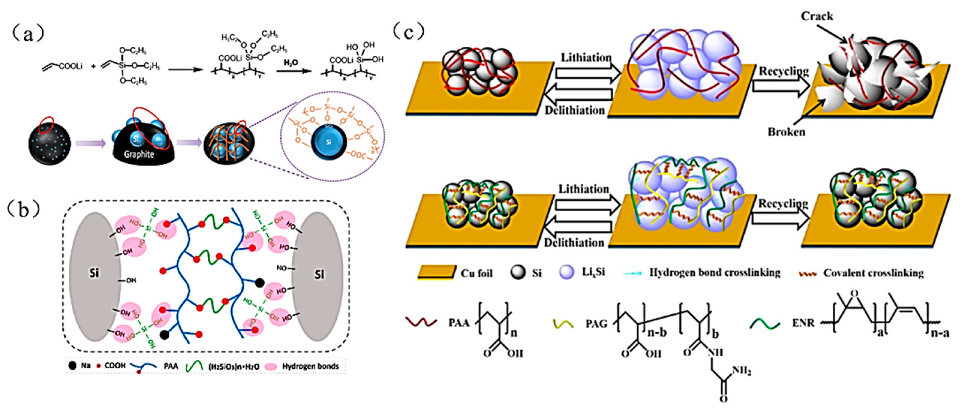 Materials 16 04266 g012