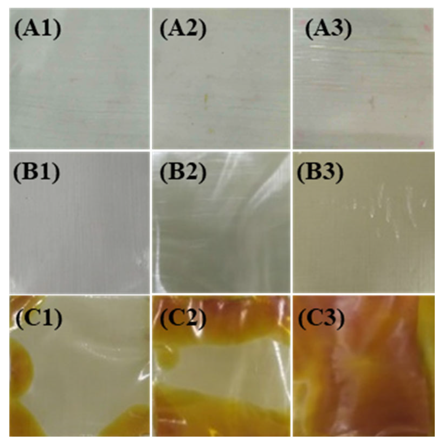 Materials 16 04388 g003