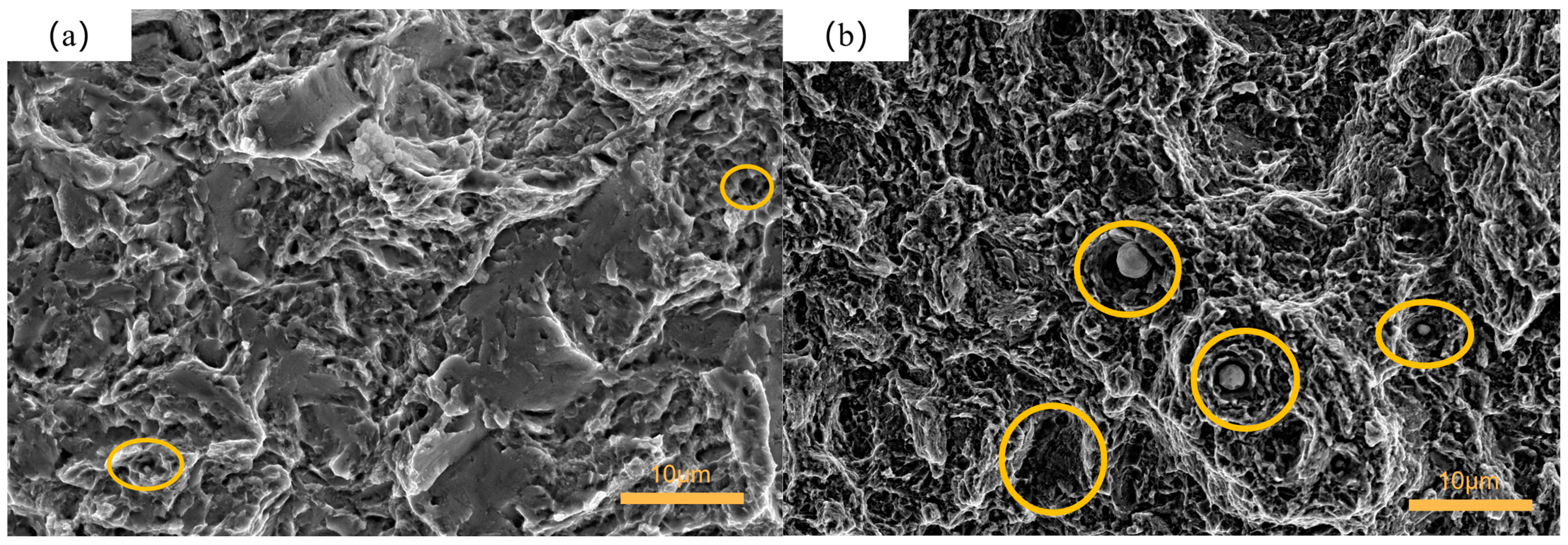 Materials 16 04399 g010