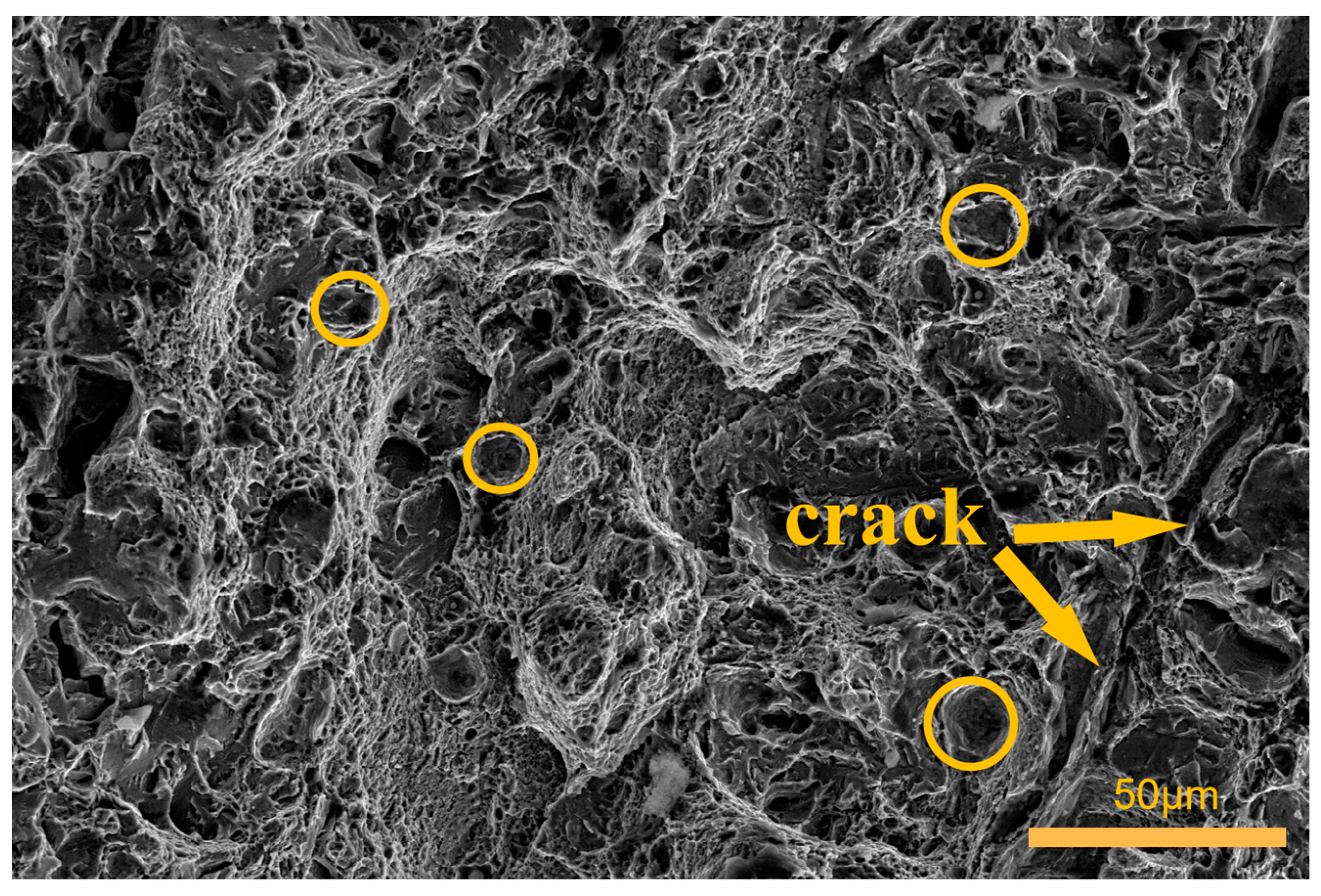 Materials 16 04399 g018