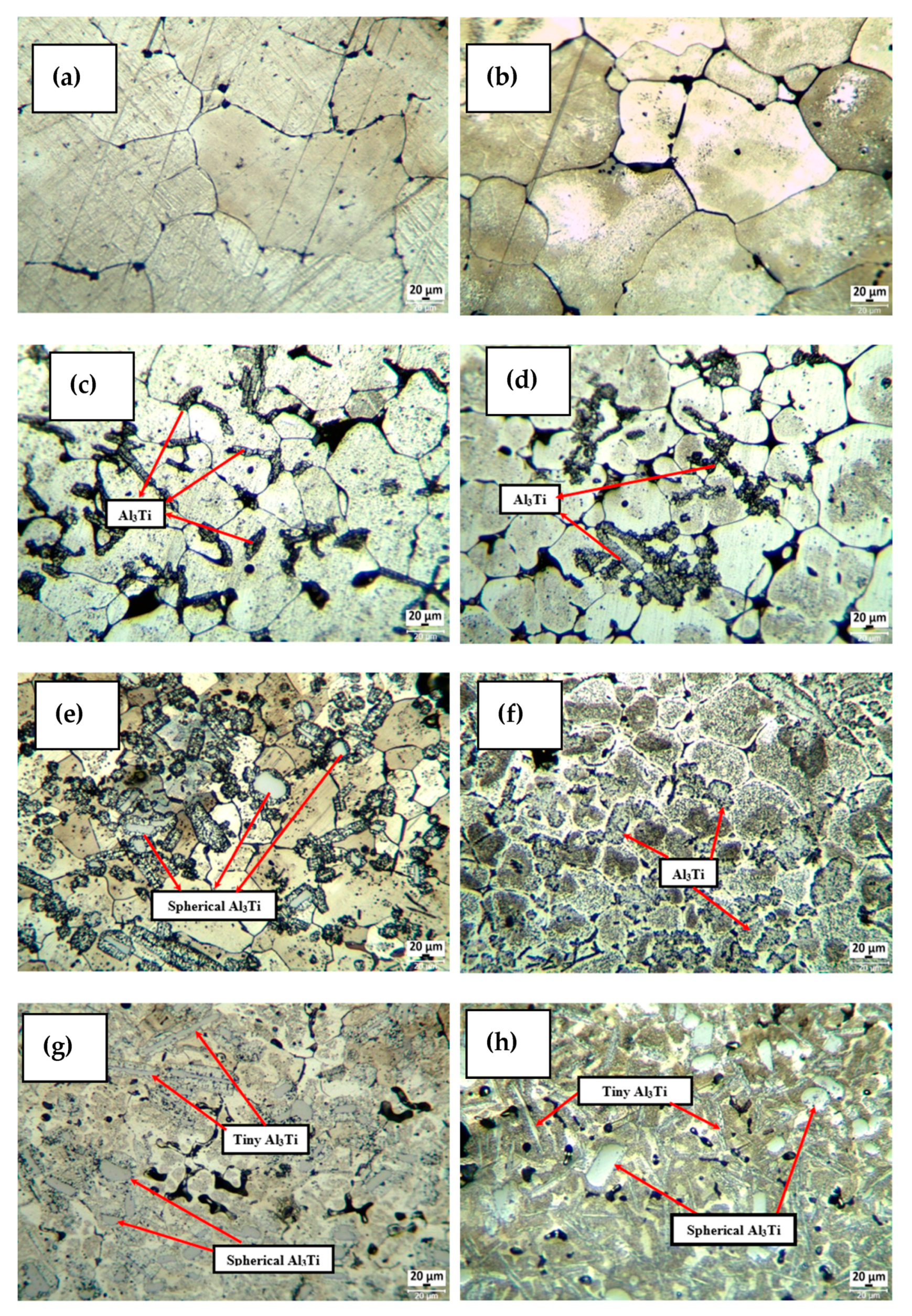 Materials 16 04413 g003