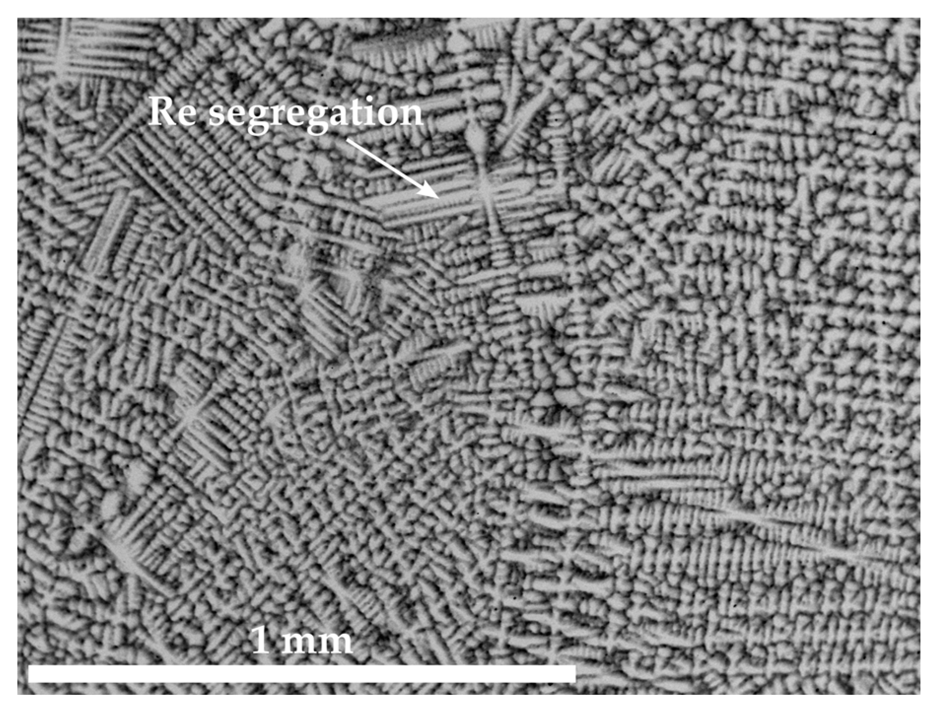 Materials 16 04443 g001 Materials 16 04443 g001