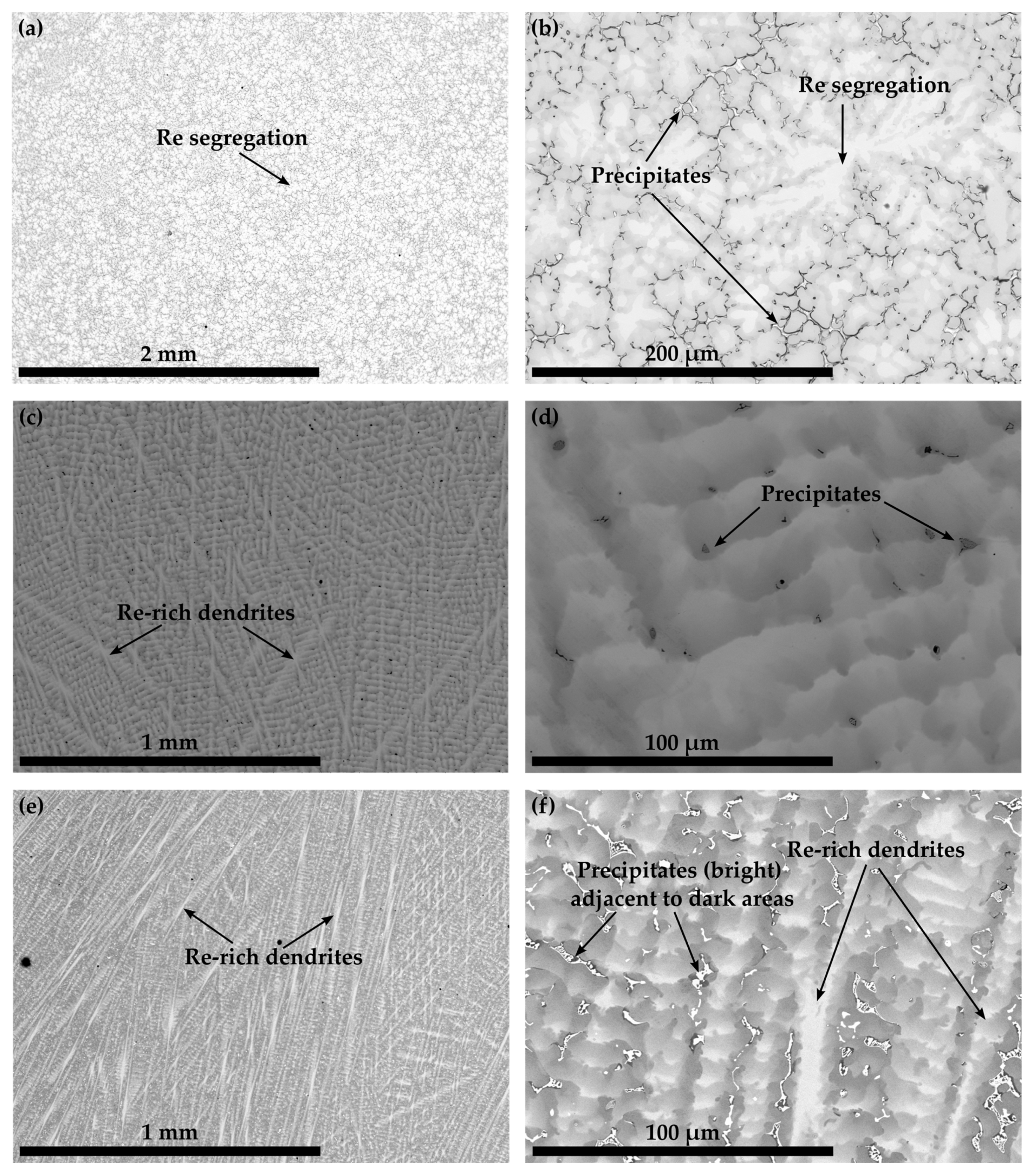 Materials 16 04443 g002 Materials 16 04443 g002