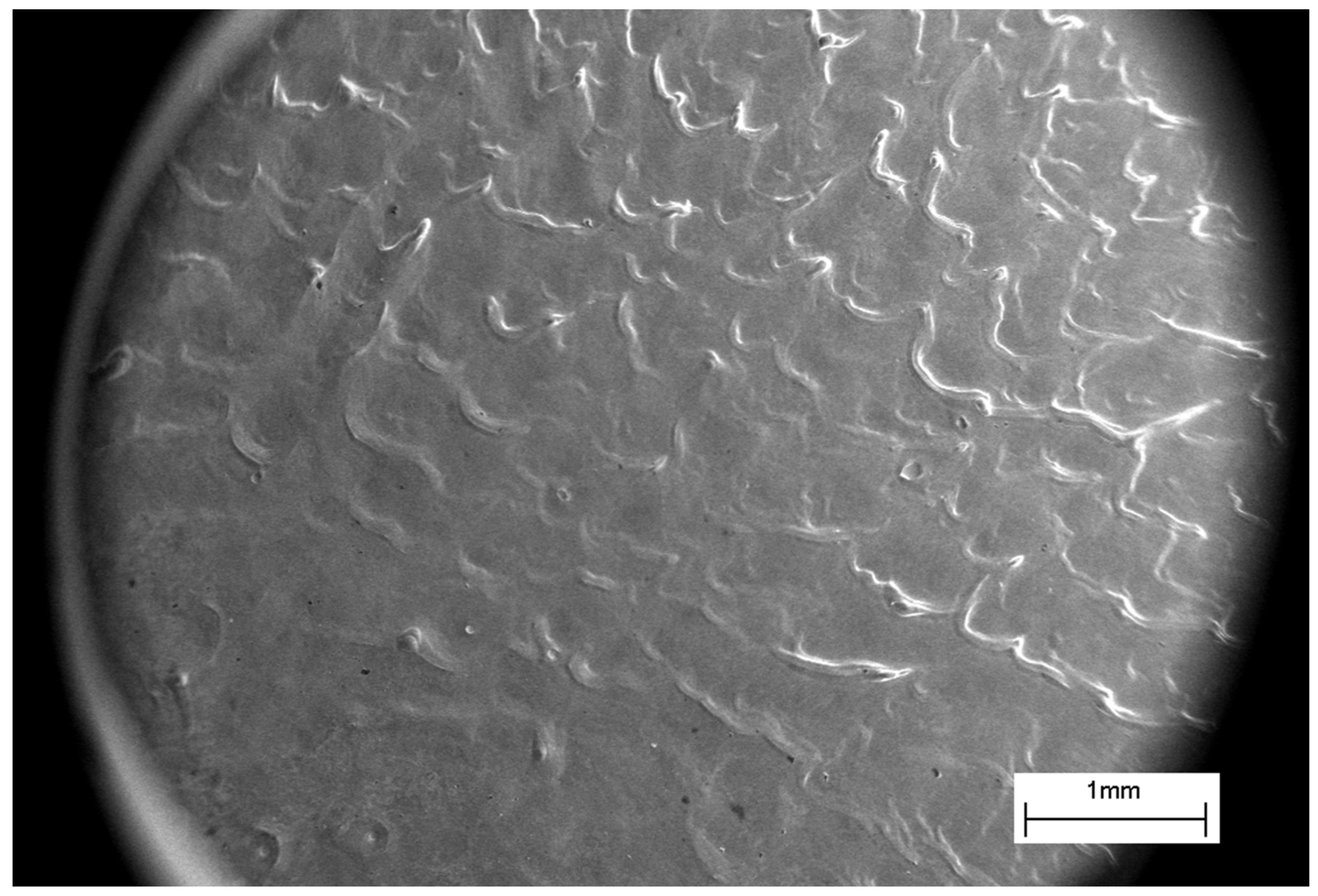 Materials 16 04445 g003